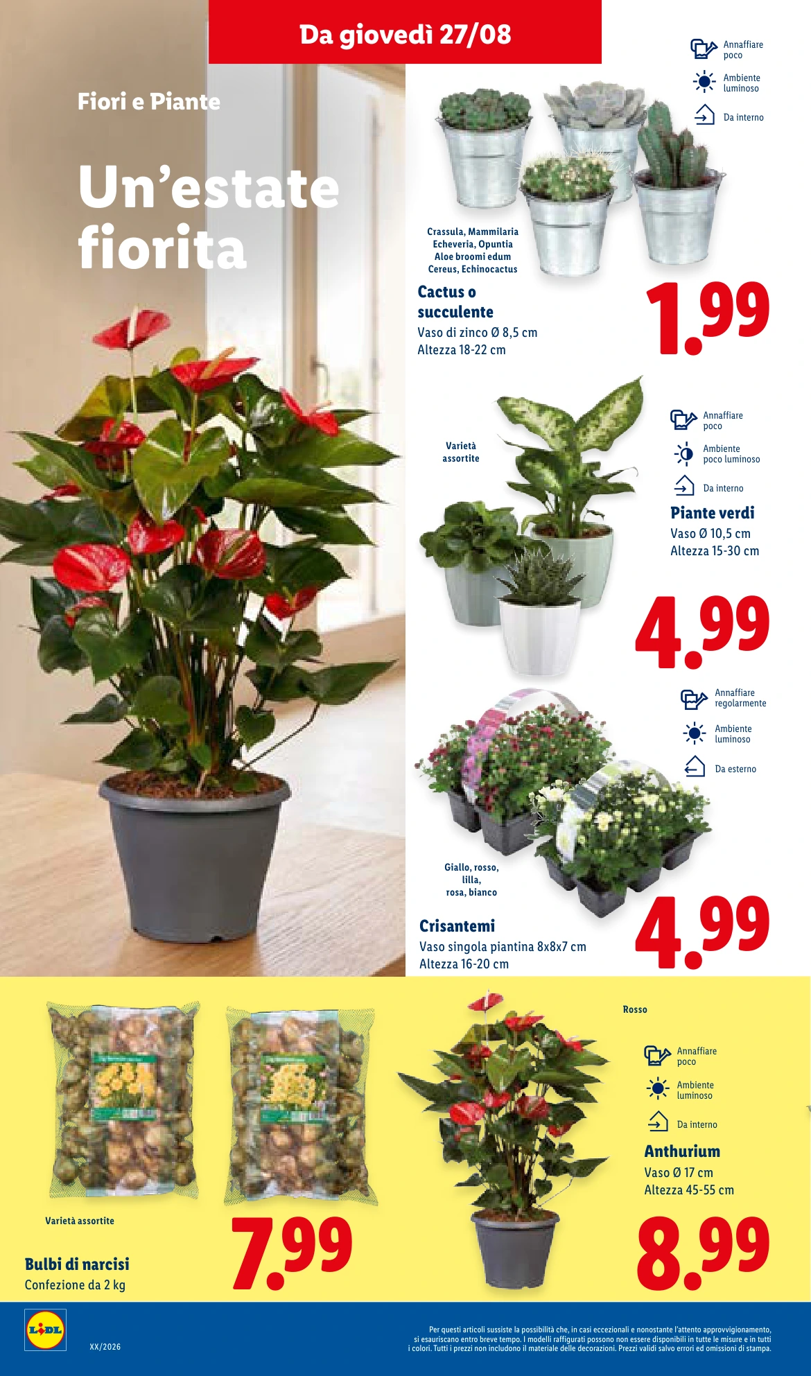 Flyer page 32