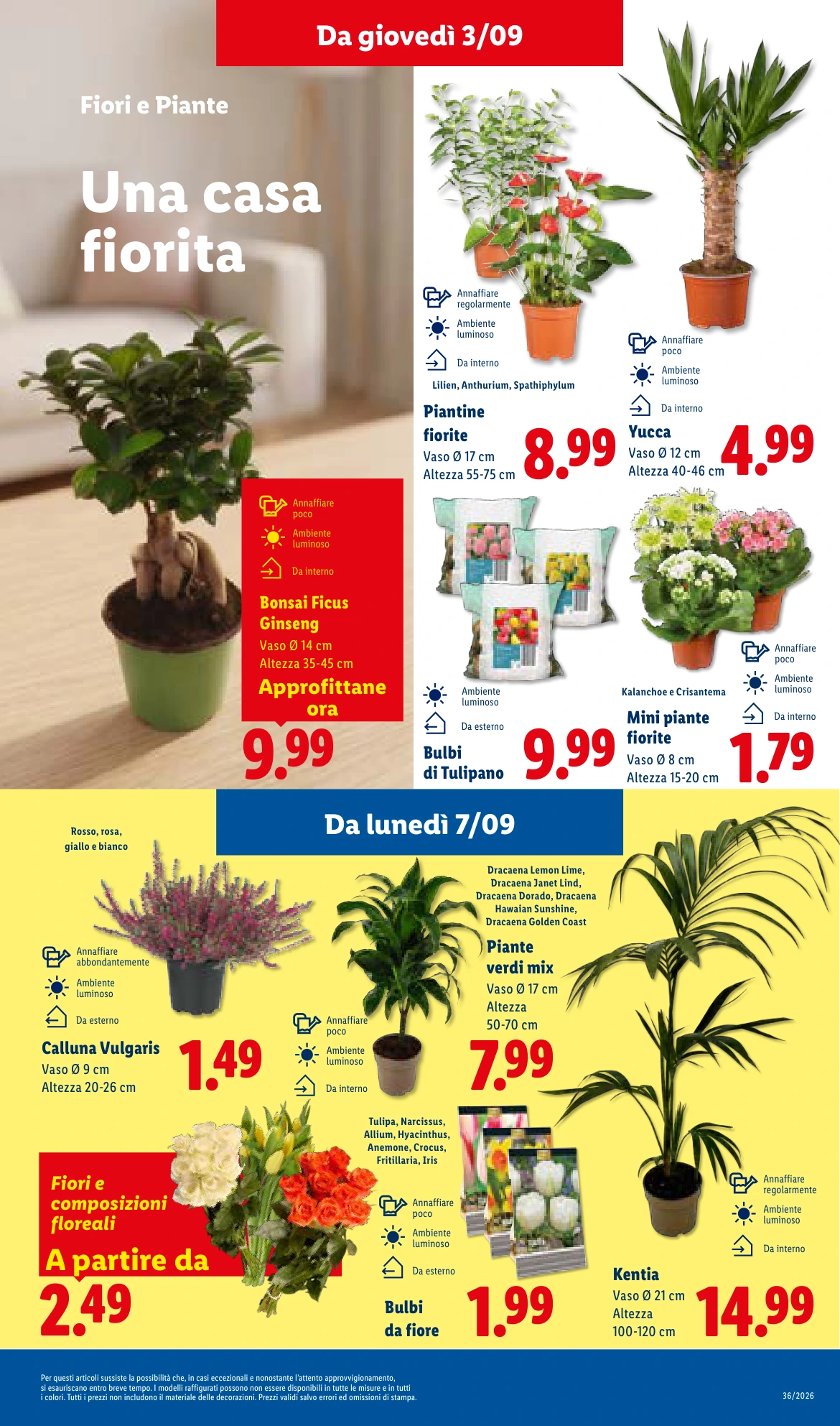 Flyer page 11