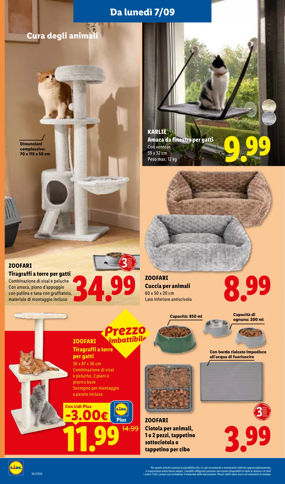 Flyer page 38
