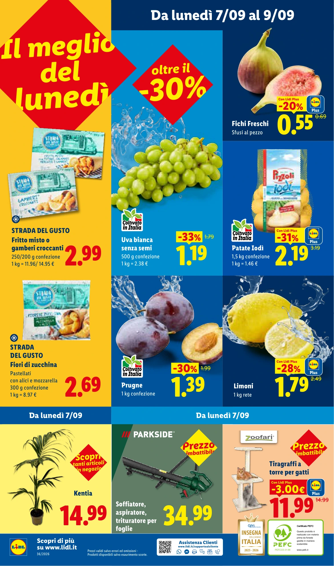 Flyer page 46