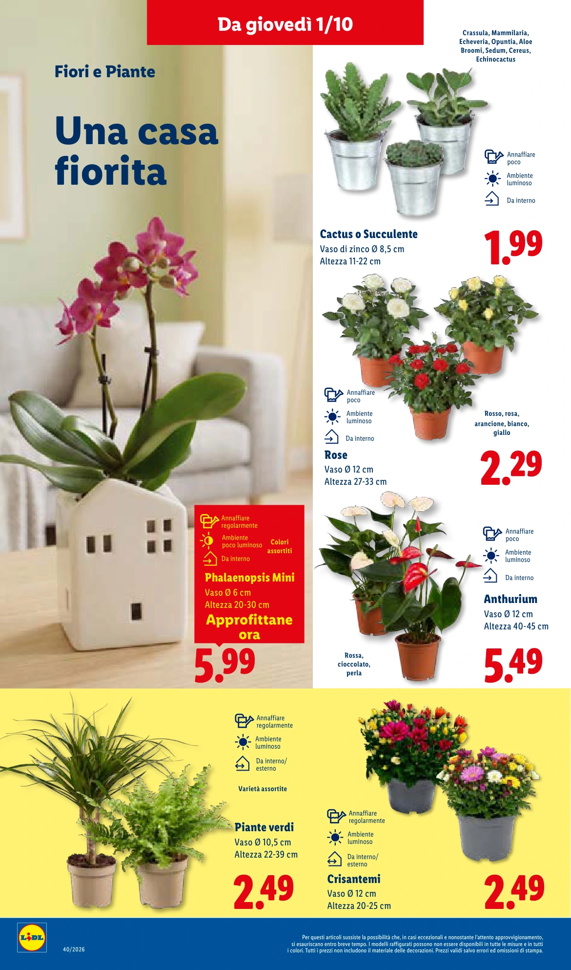 Flyer page 30