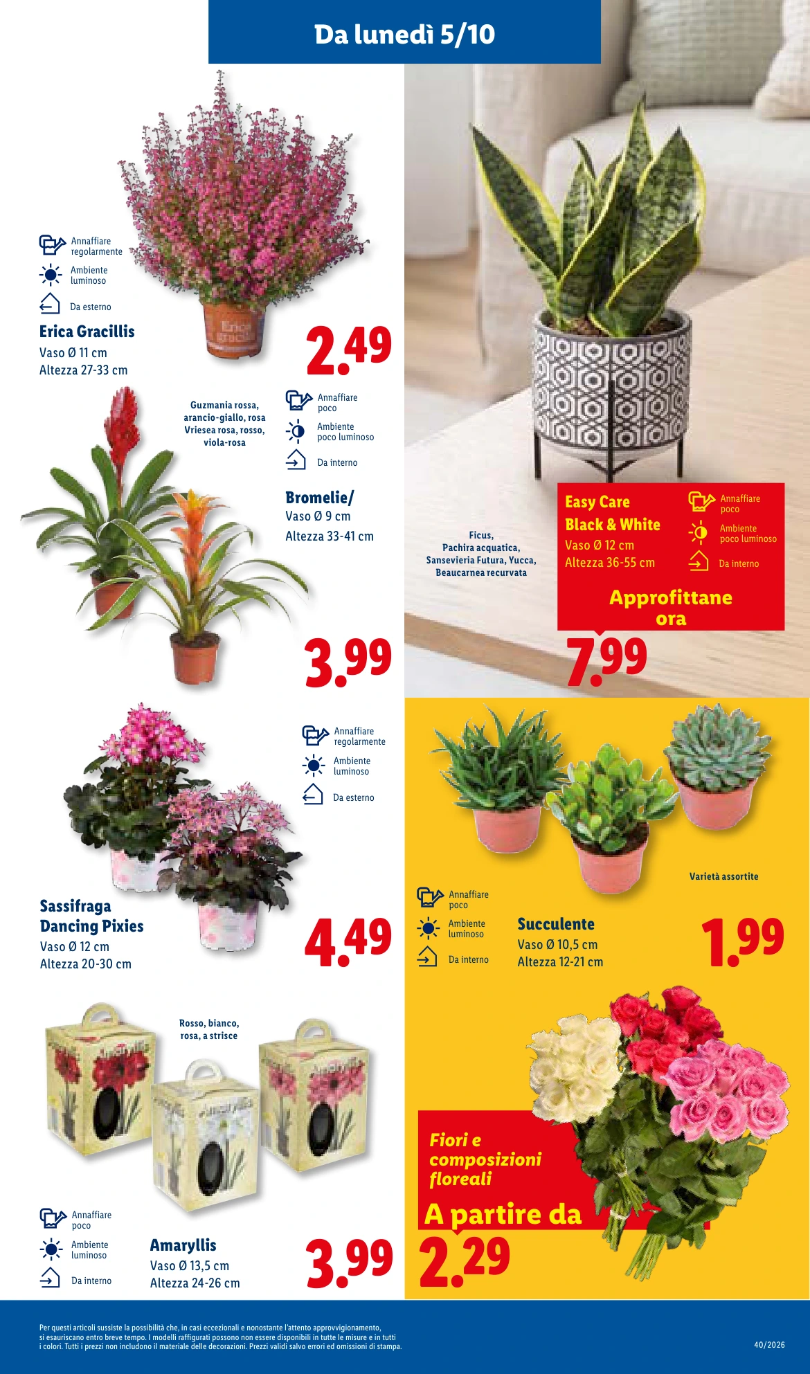 Flyer page 31
