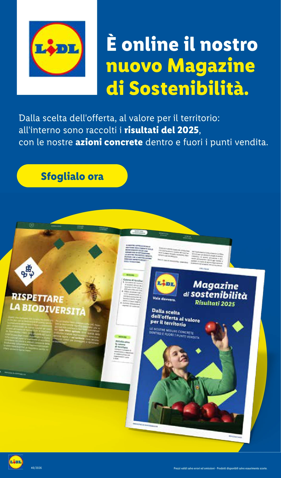 Flyer page 50