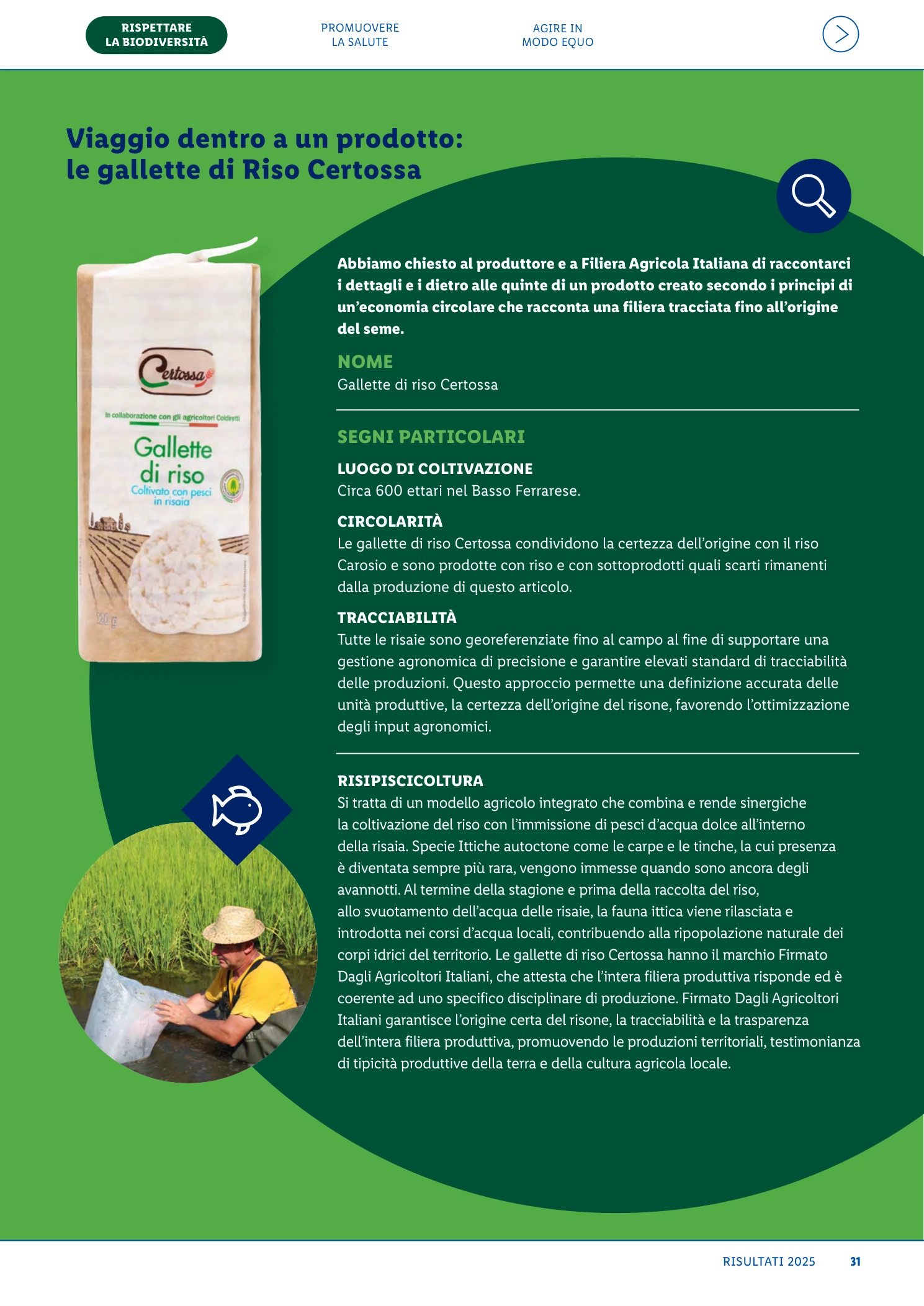 Flyer page 31