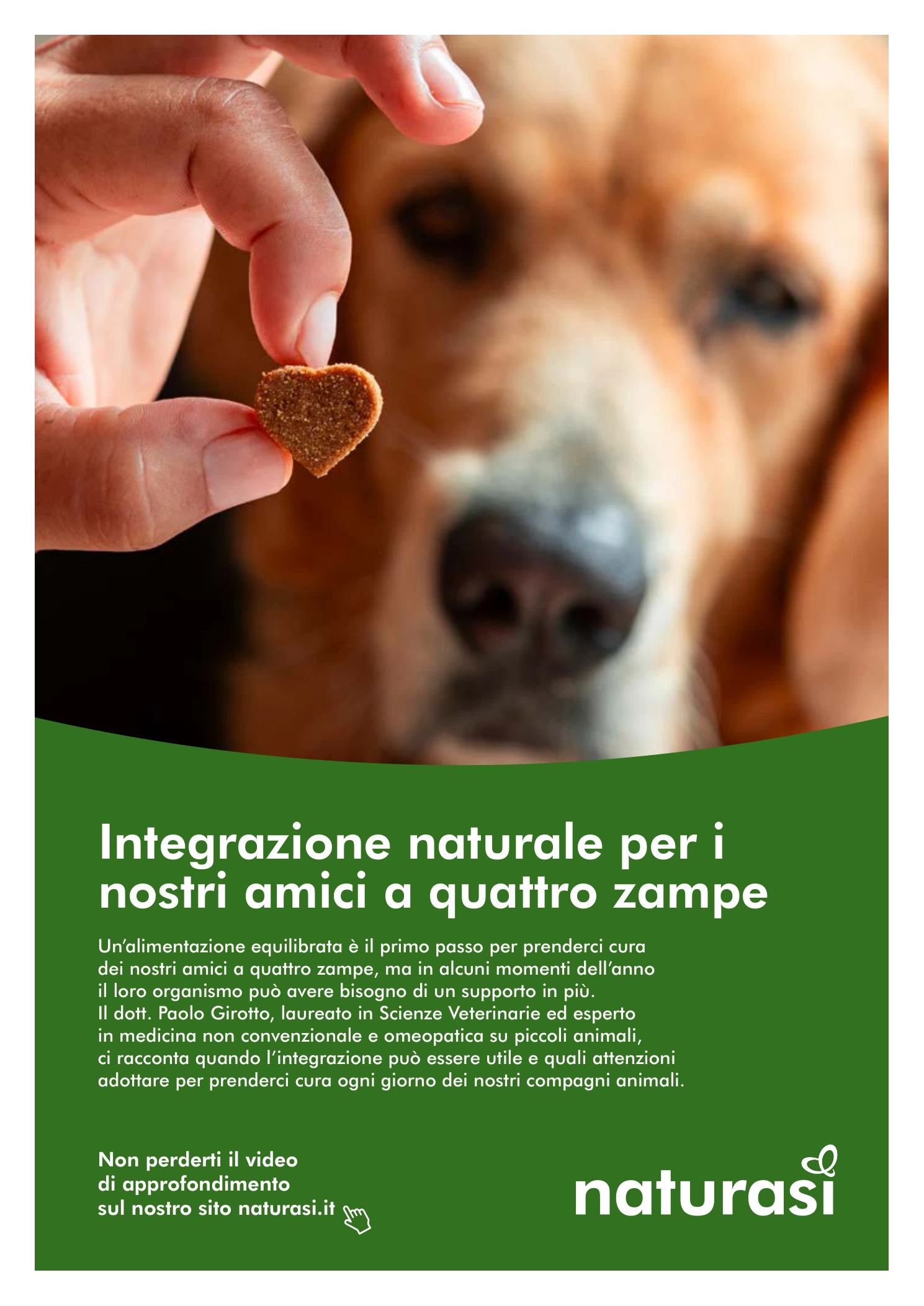 Flyer page 51