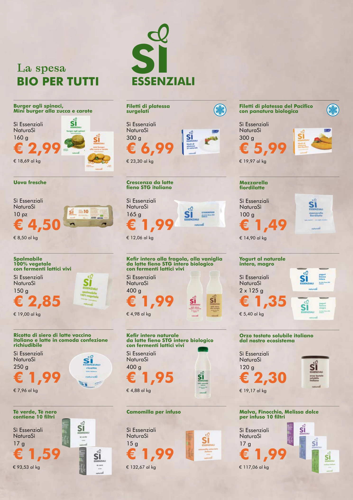 Flyer page 9