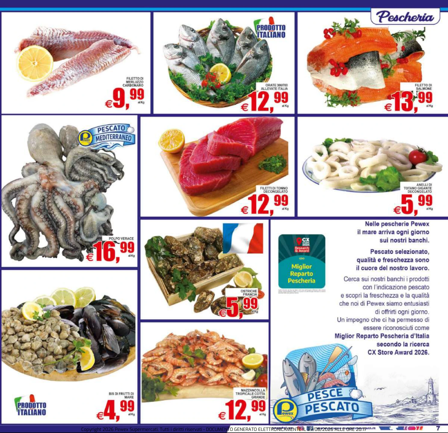 Flyer page 7