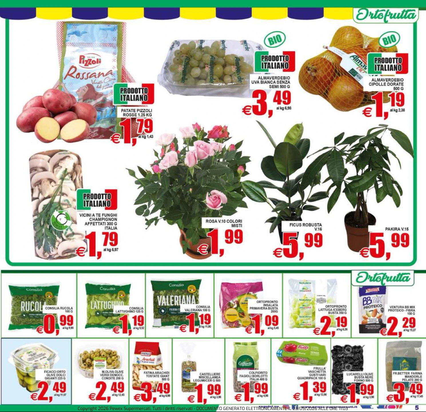 Flyer page 5