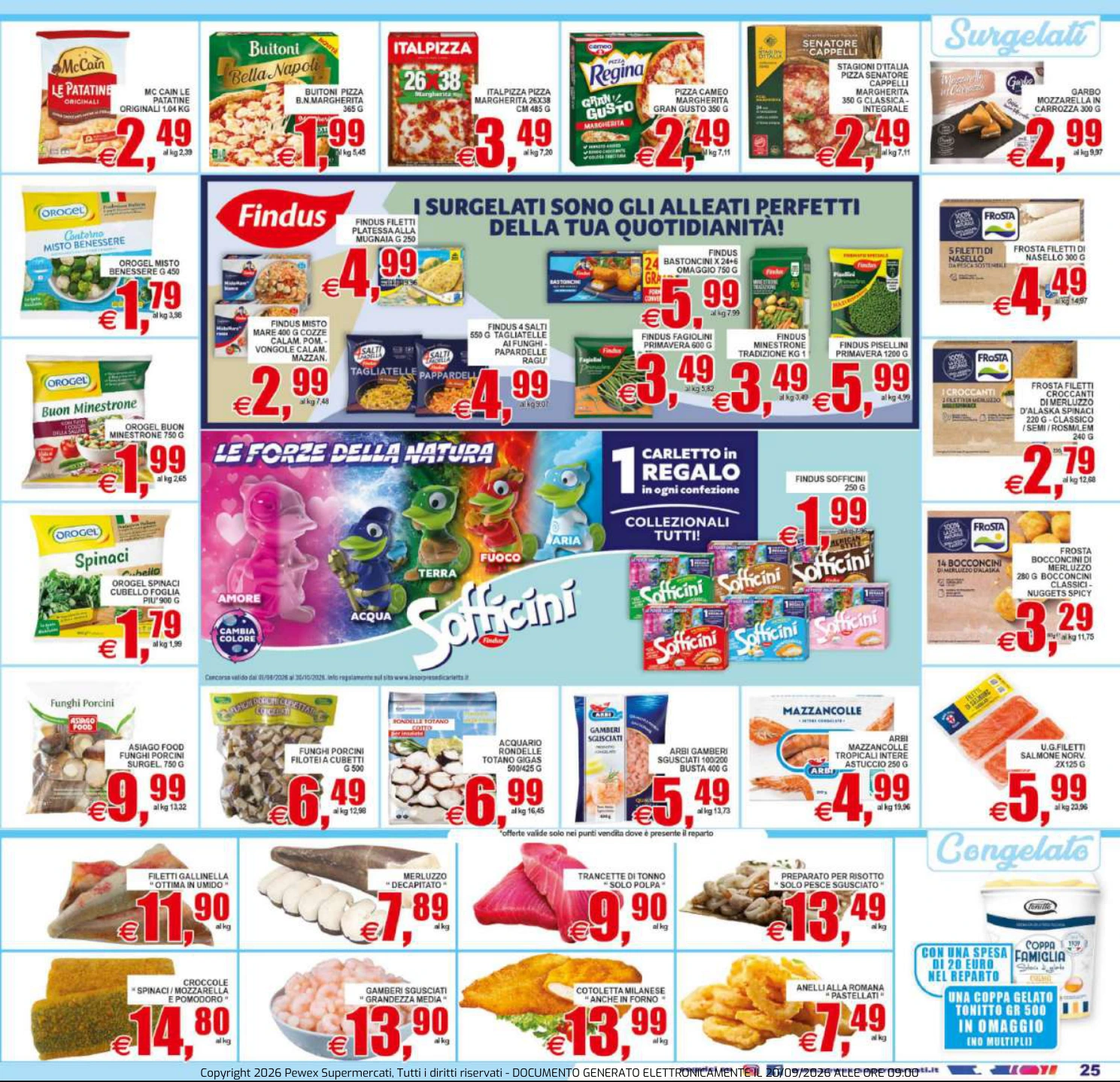 Flyer page 25