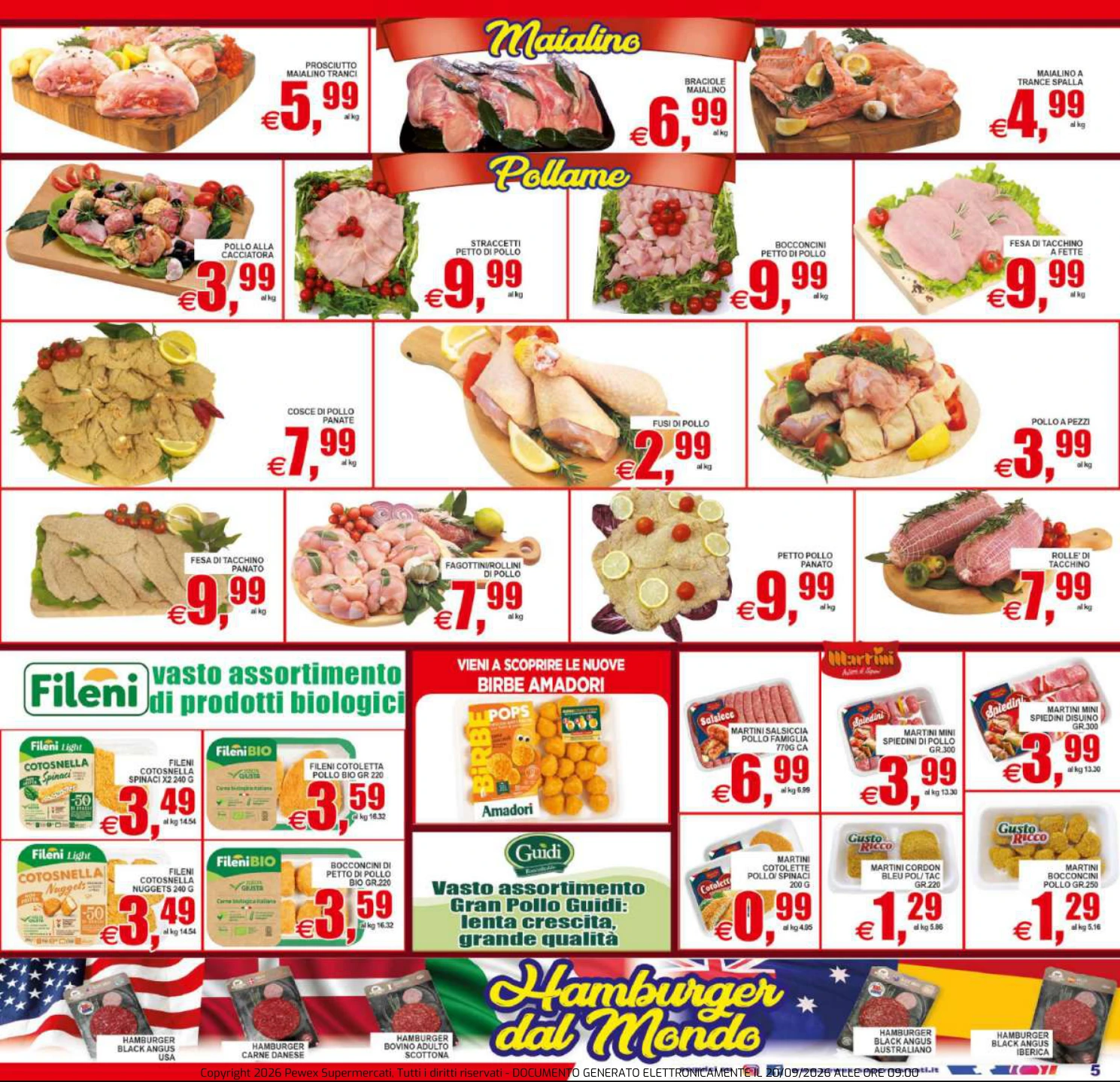 Flyer page 5