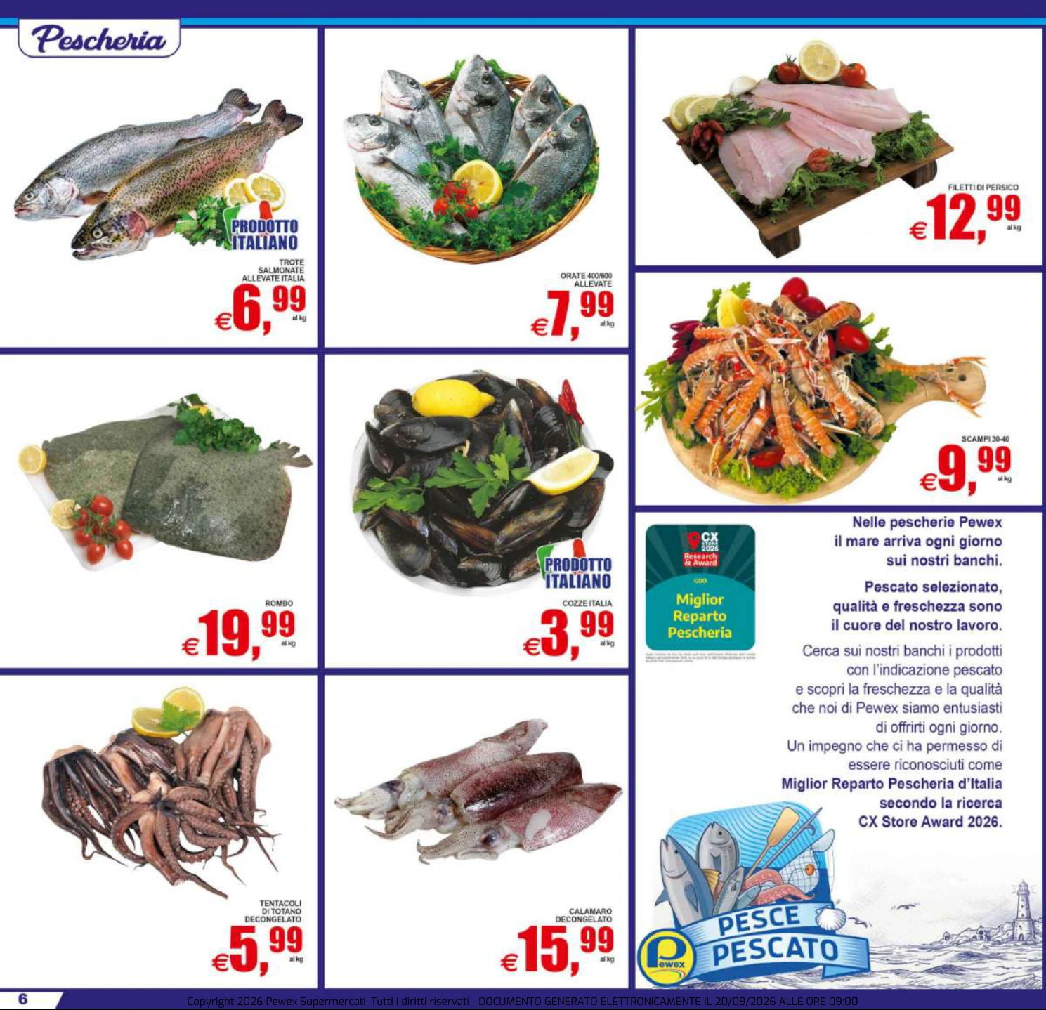 Flyer page 6