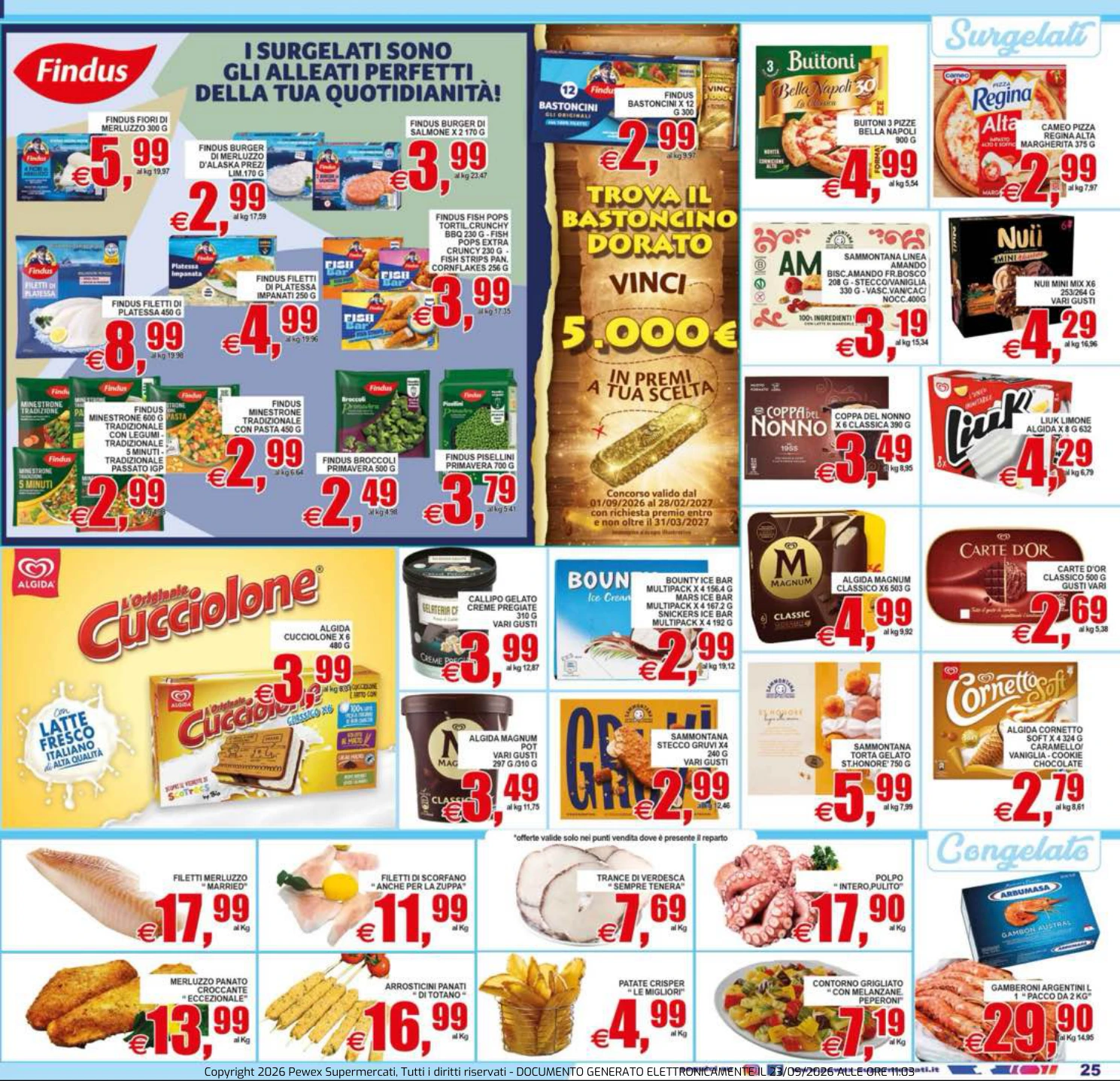 Flyer page 25