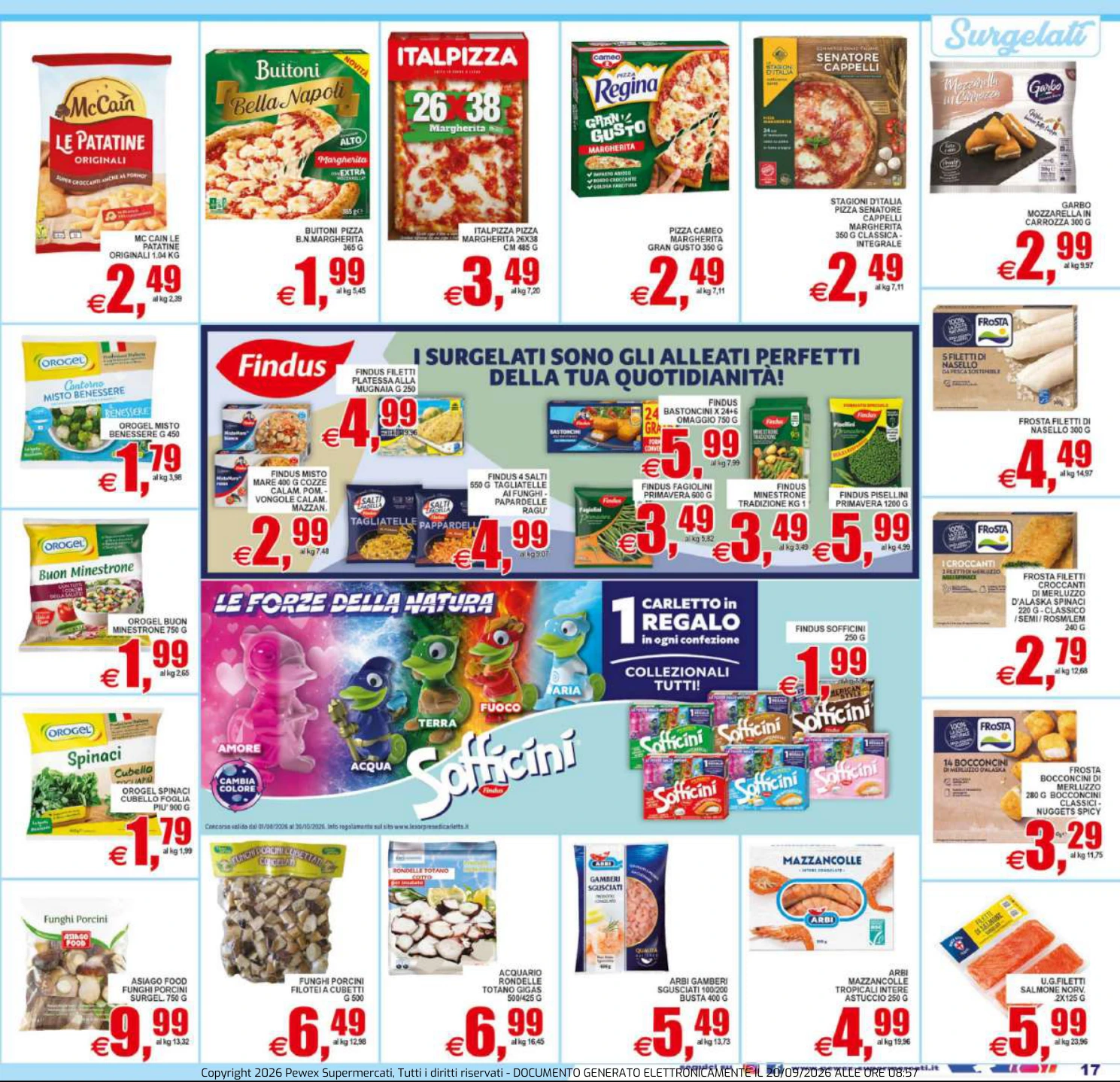 Flyer page 17