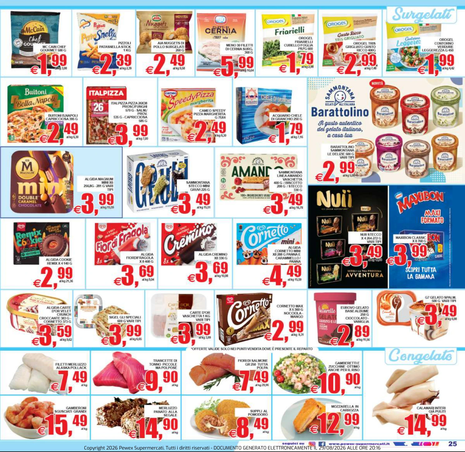 Flyer page 25