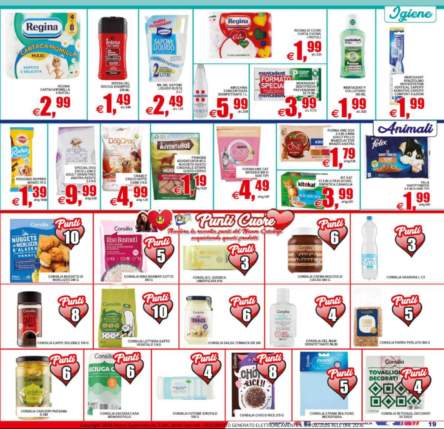 Flyer page 19