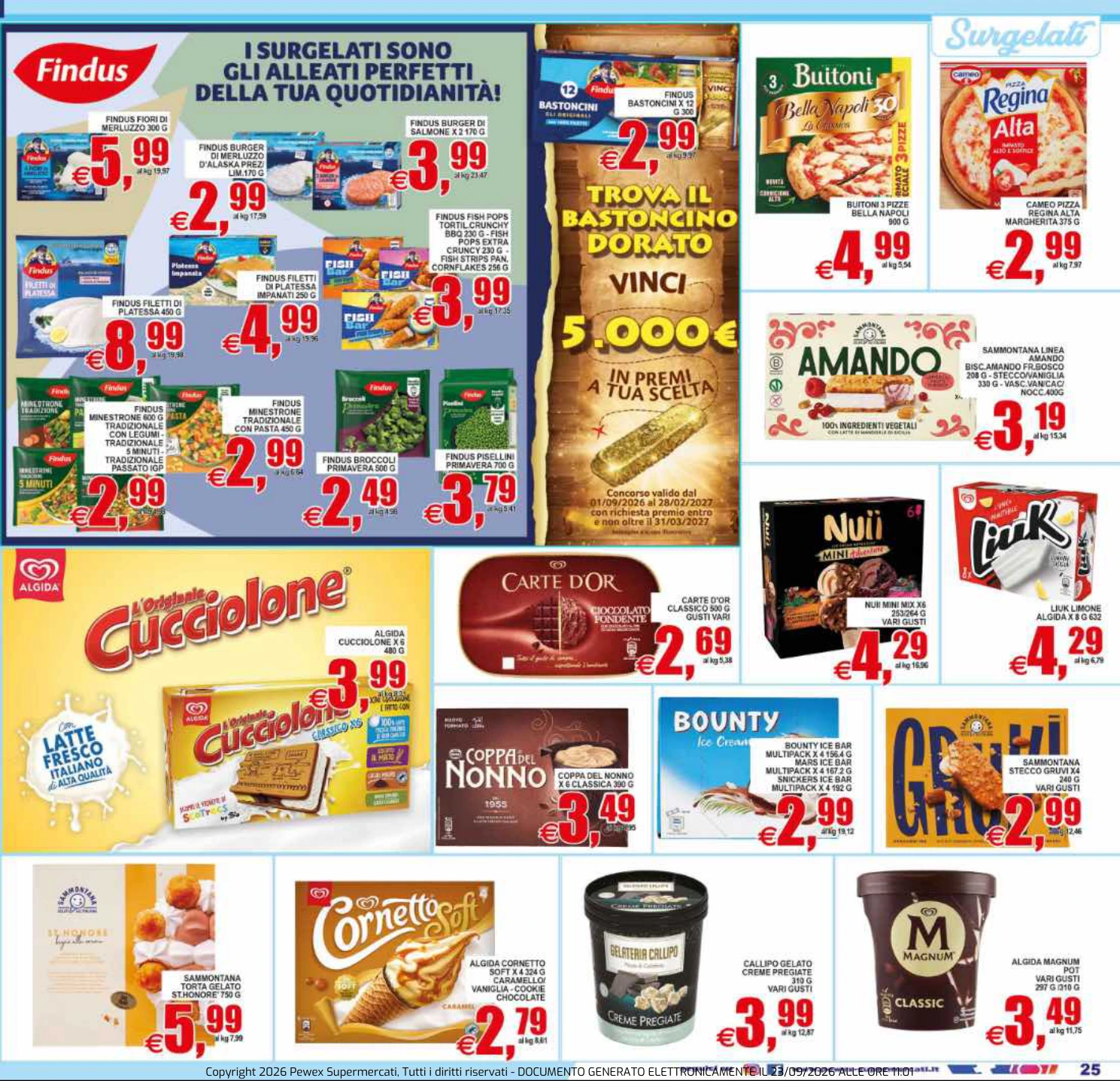 Flyer page 25