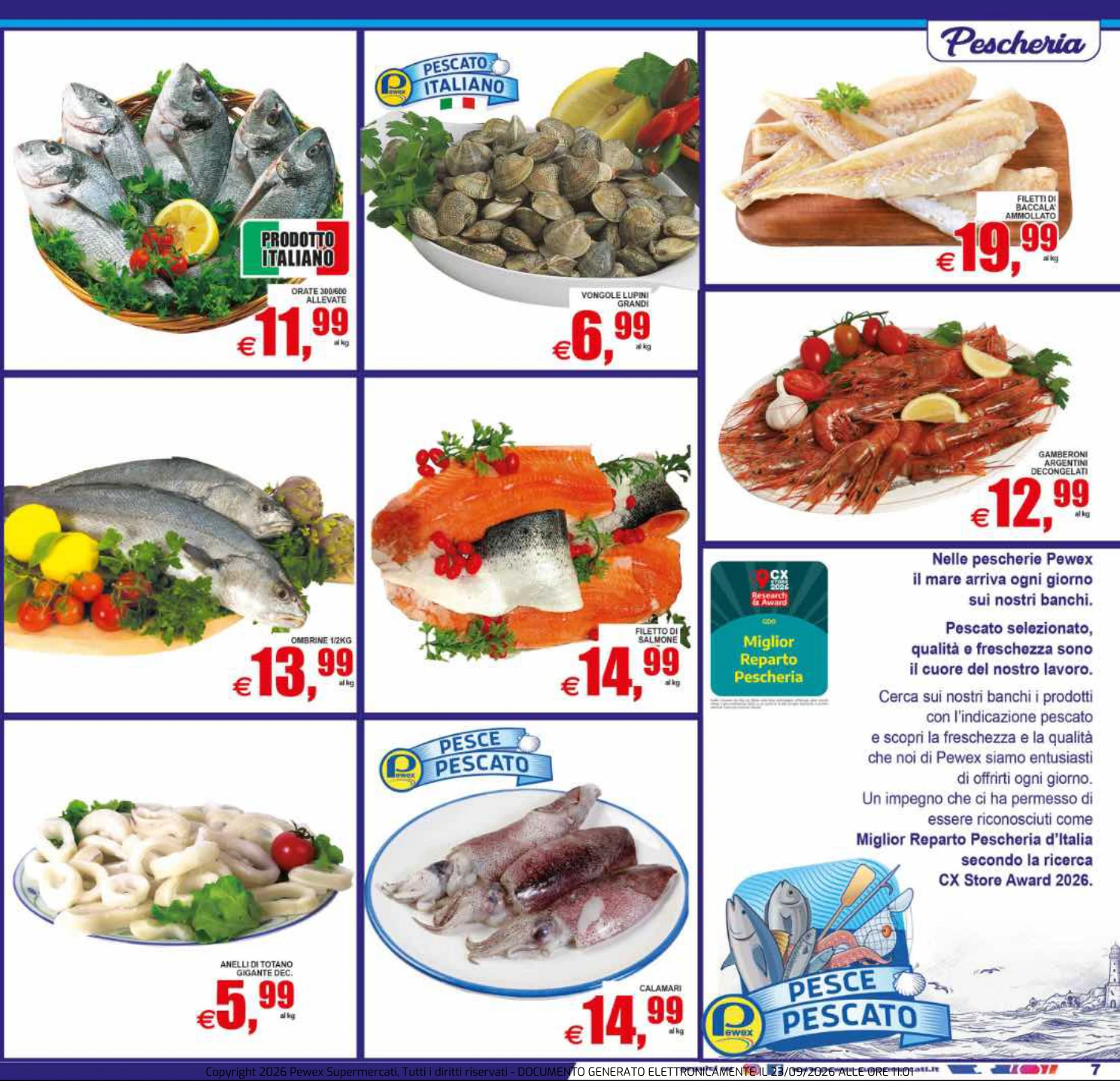 Flyer page 7