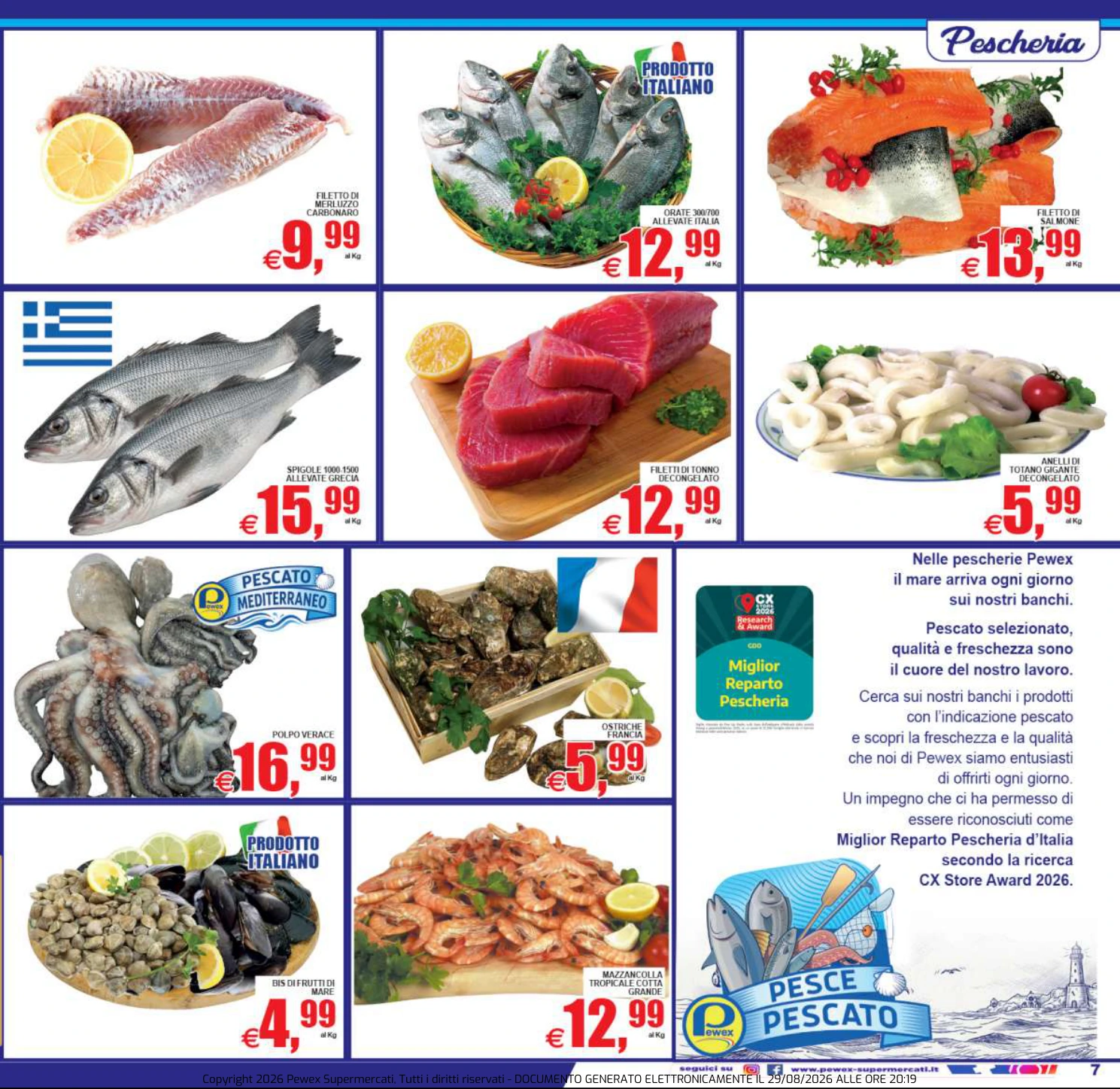 Flyer page 7