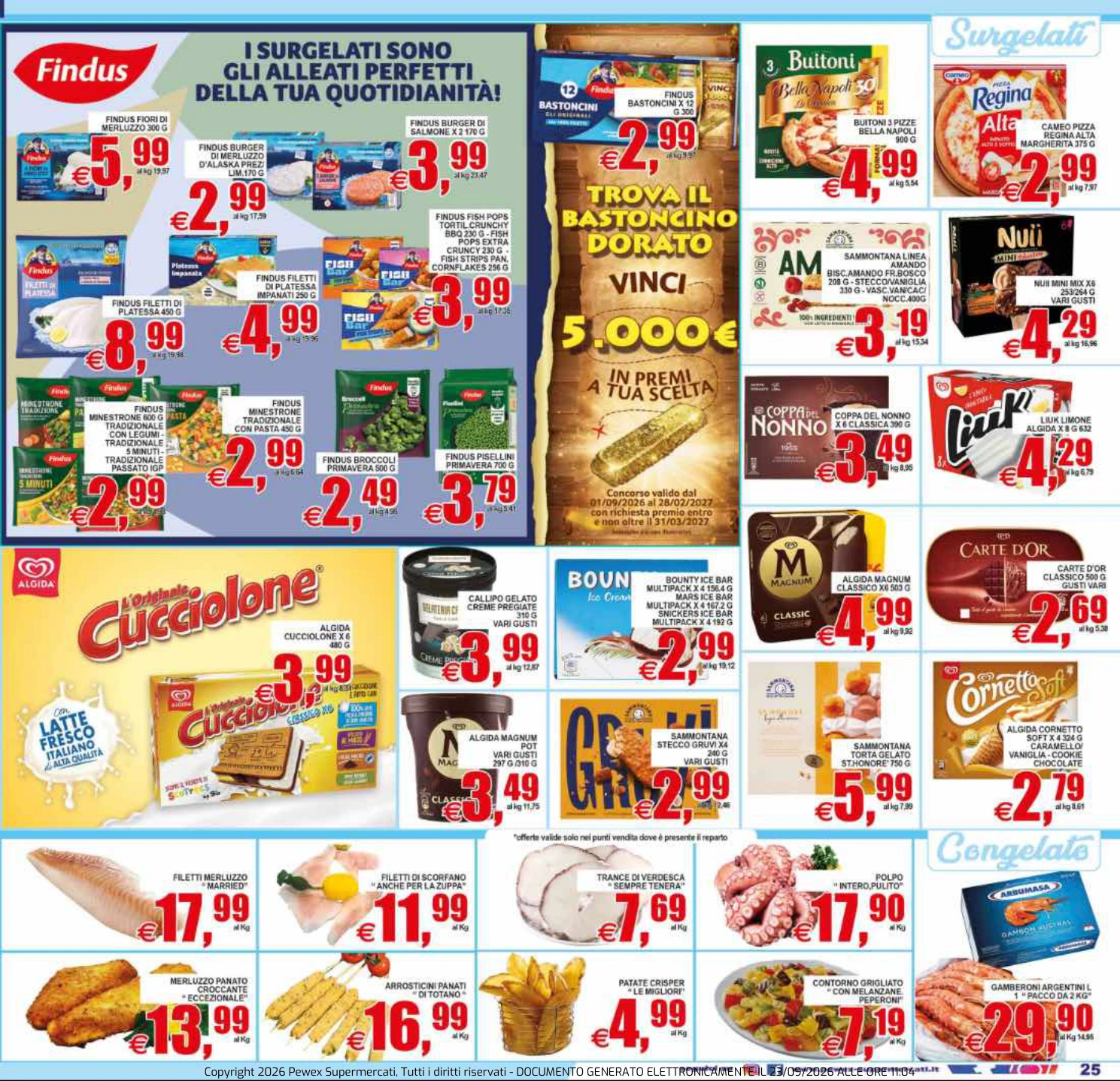 Flyer page 25