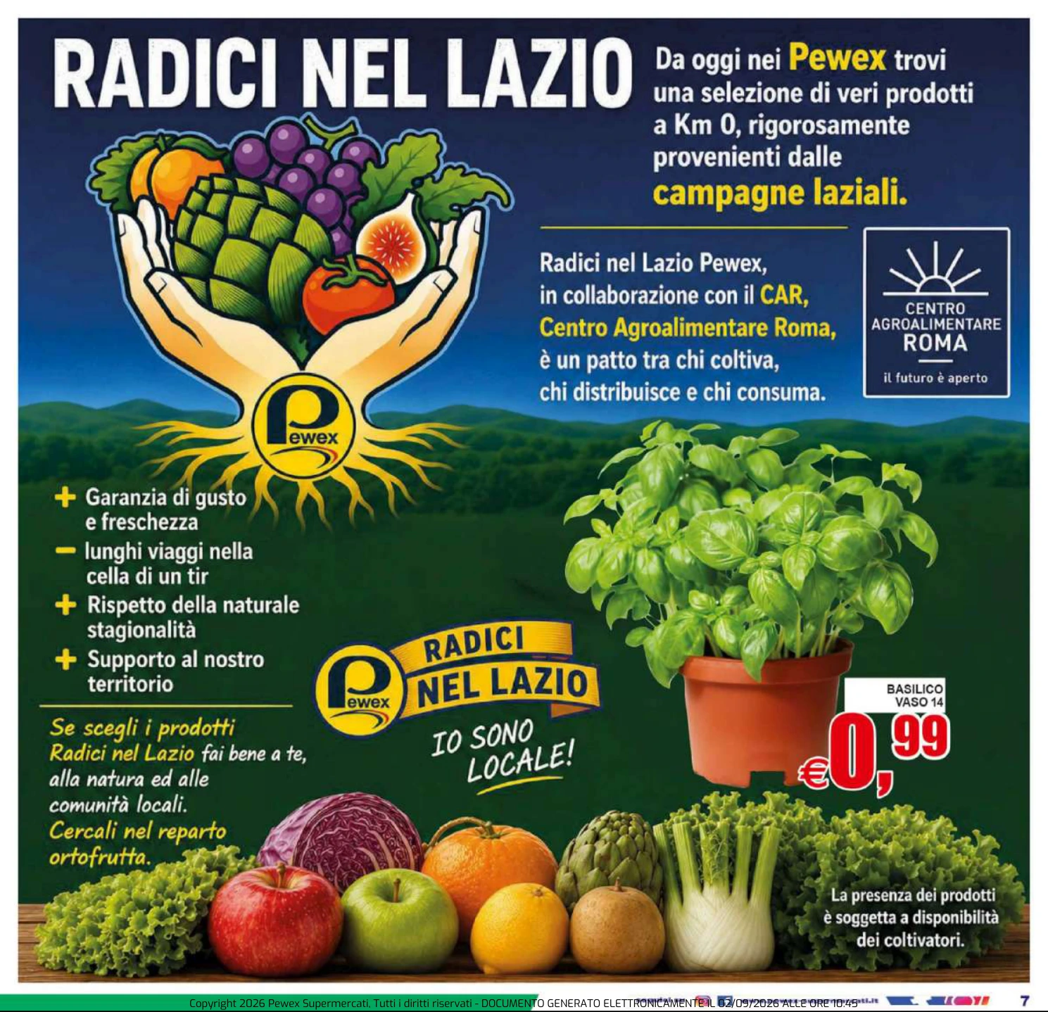 Flyer page 7