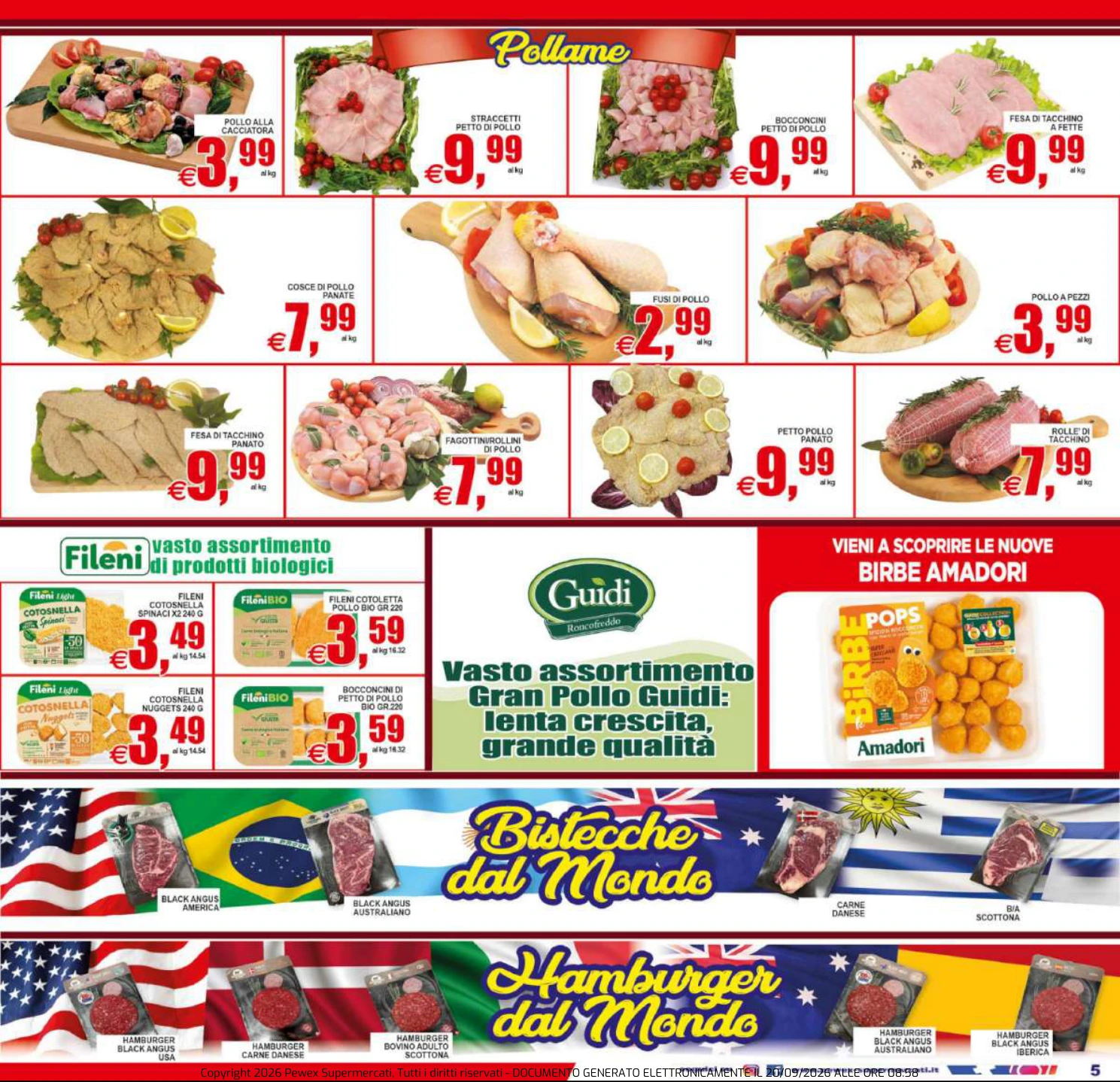 Flyer page 5