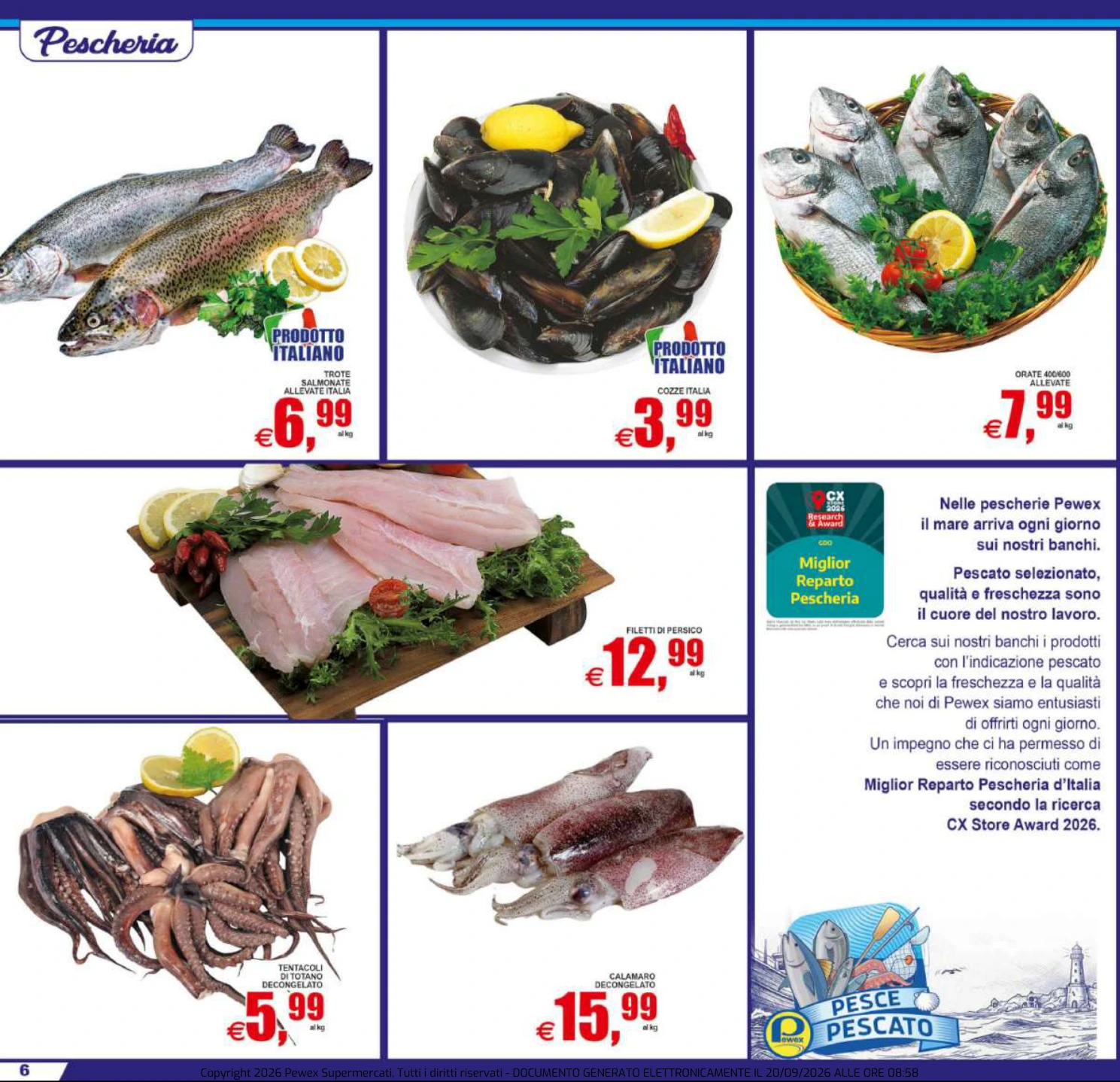 Flyer page 6