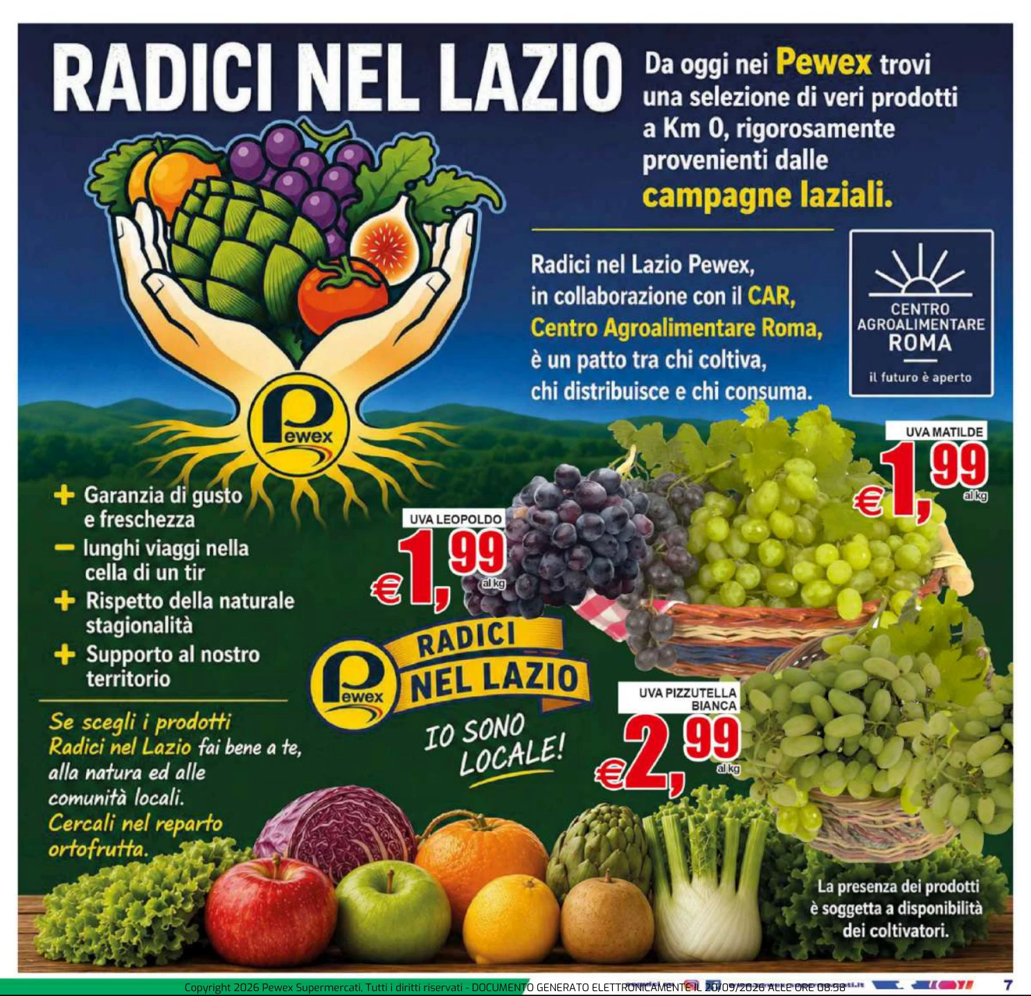 Flyer page 7