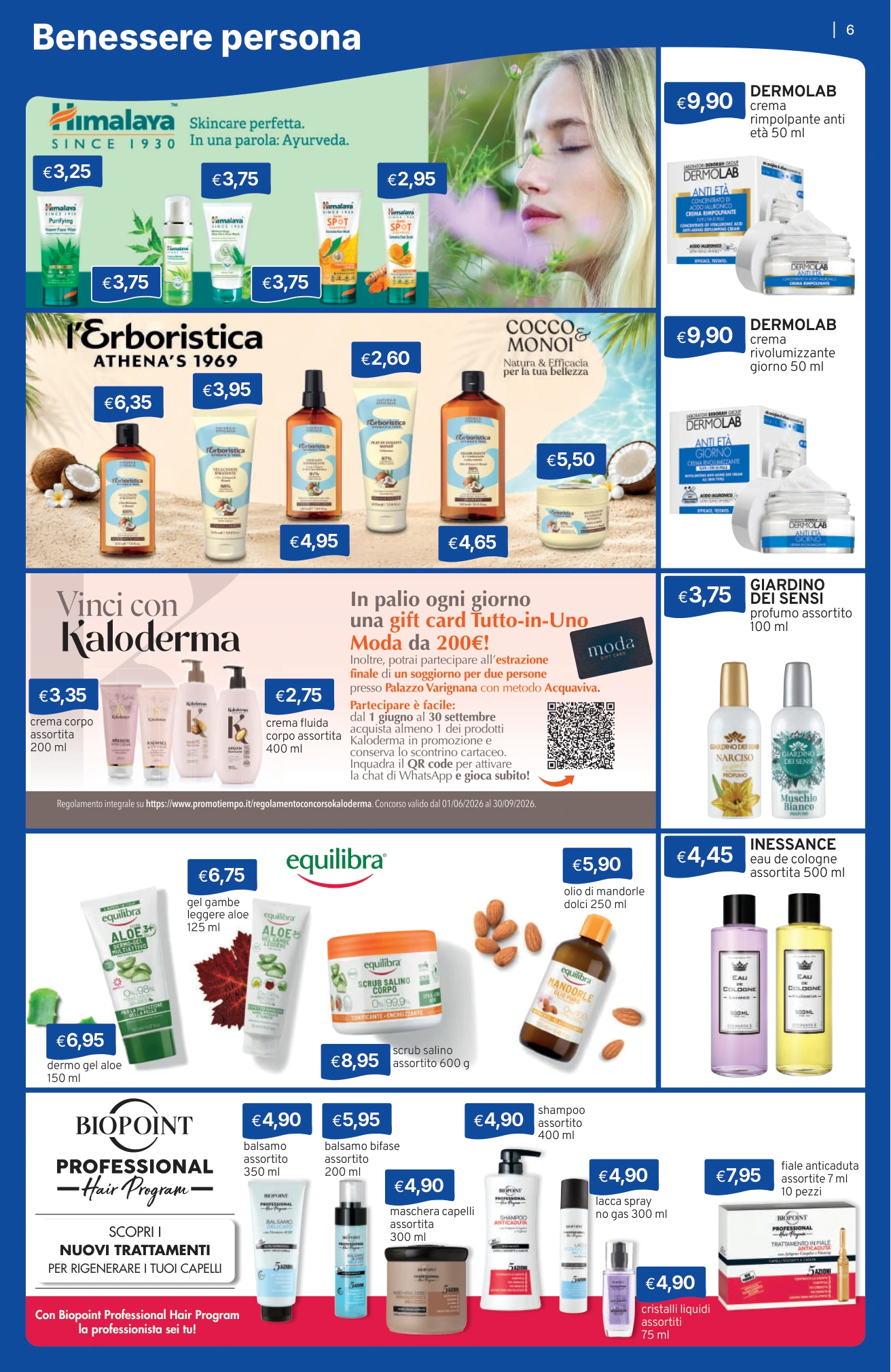 Flyer page 6