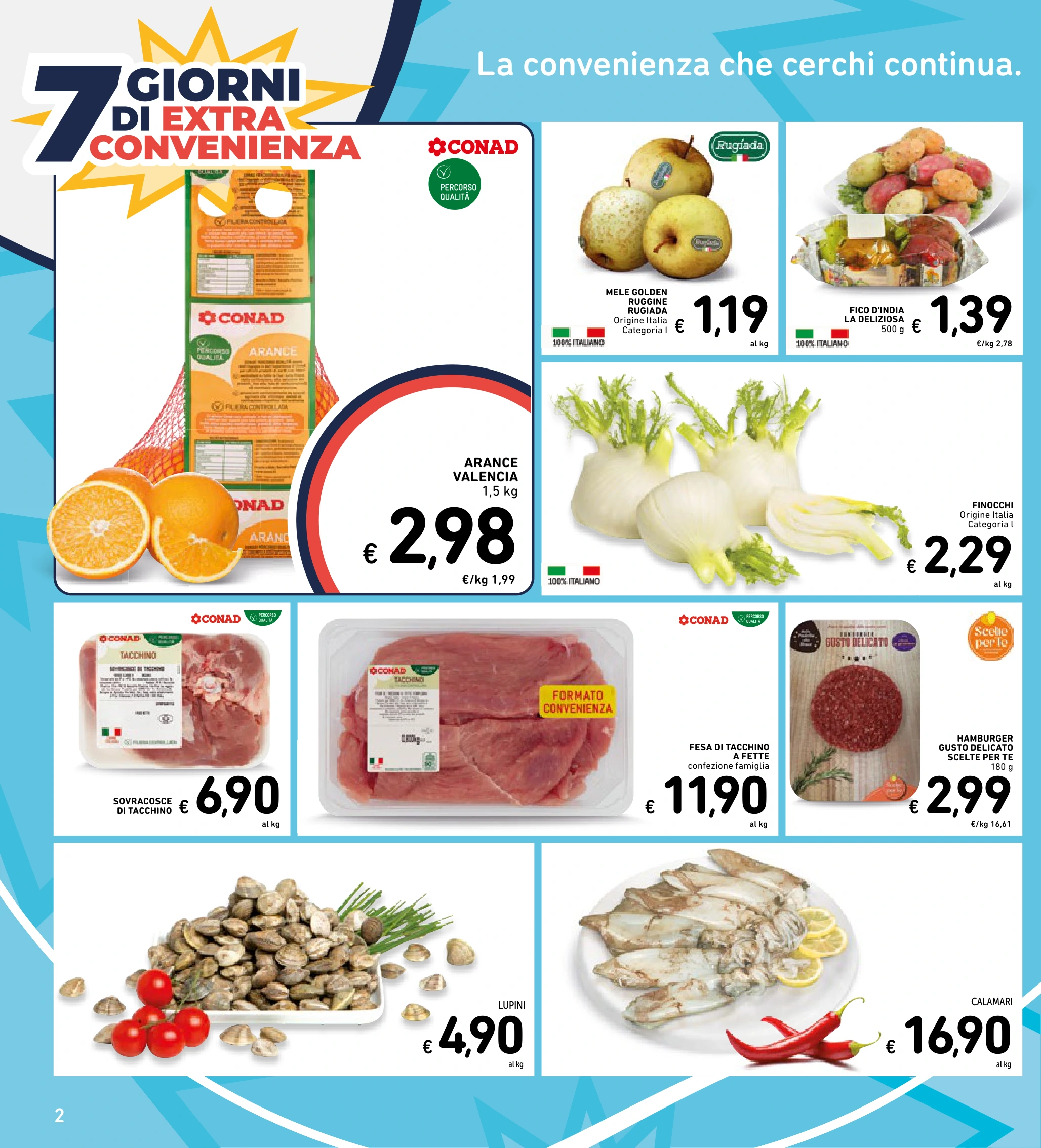 Flyer page 29