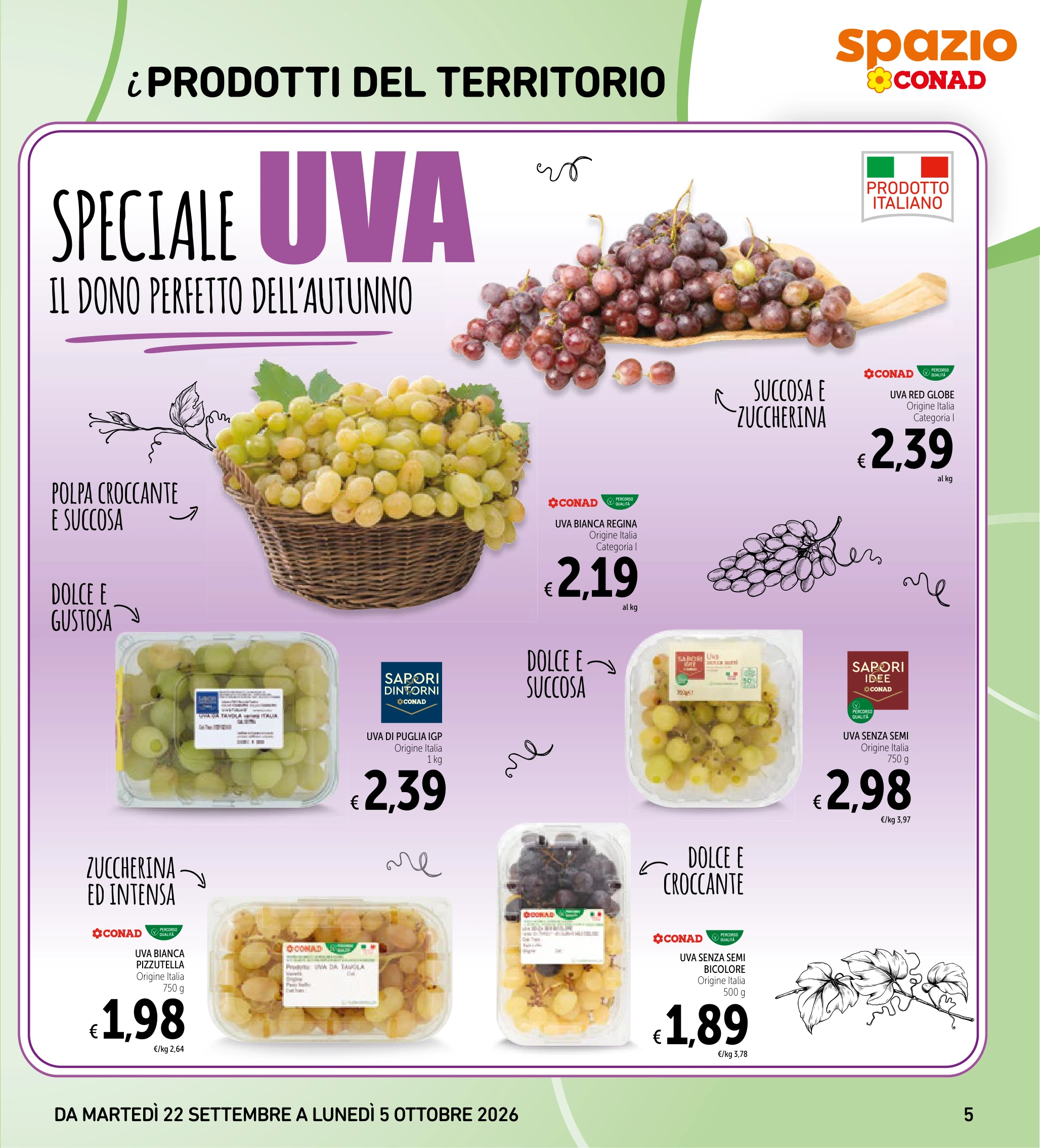Flyer page 5