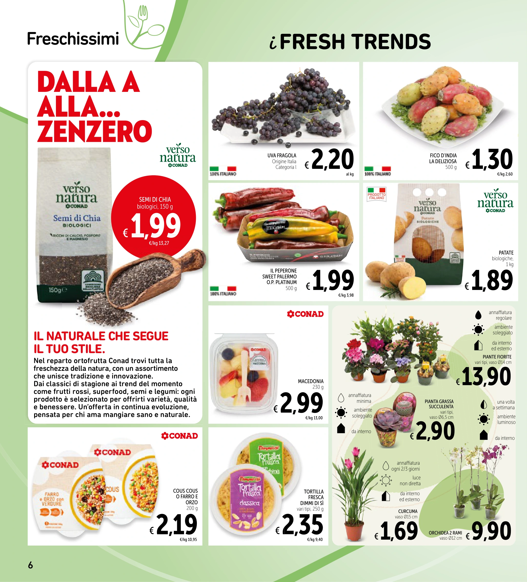 Flyer page 6