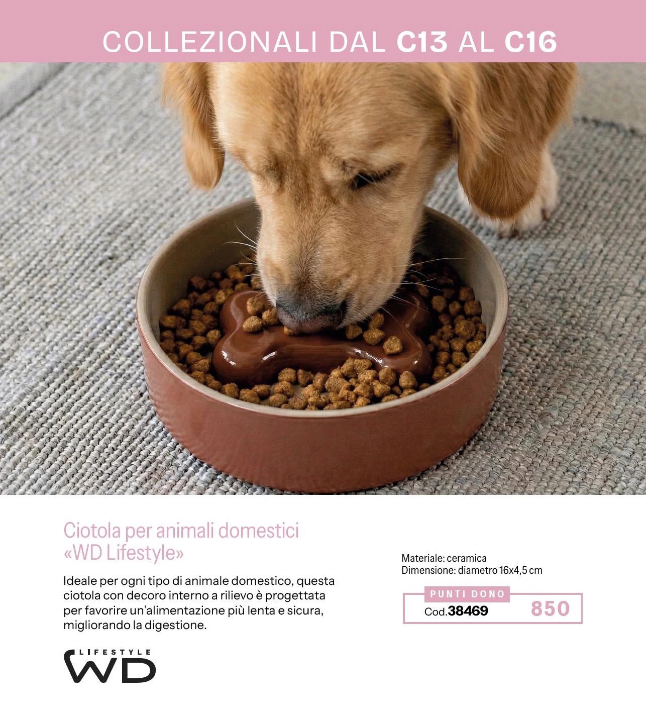 Flyer page 60