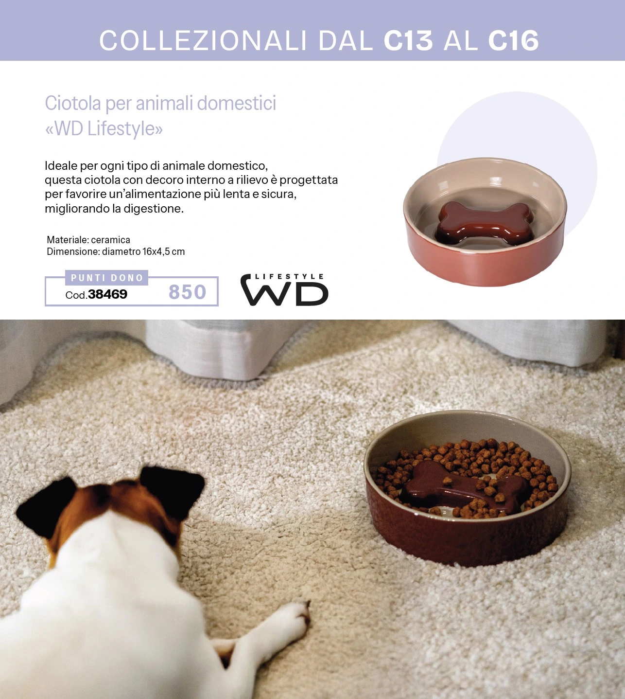 Flyer page 48
