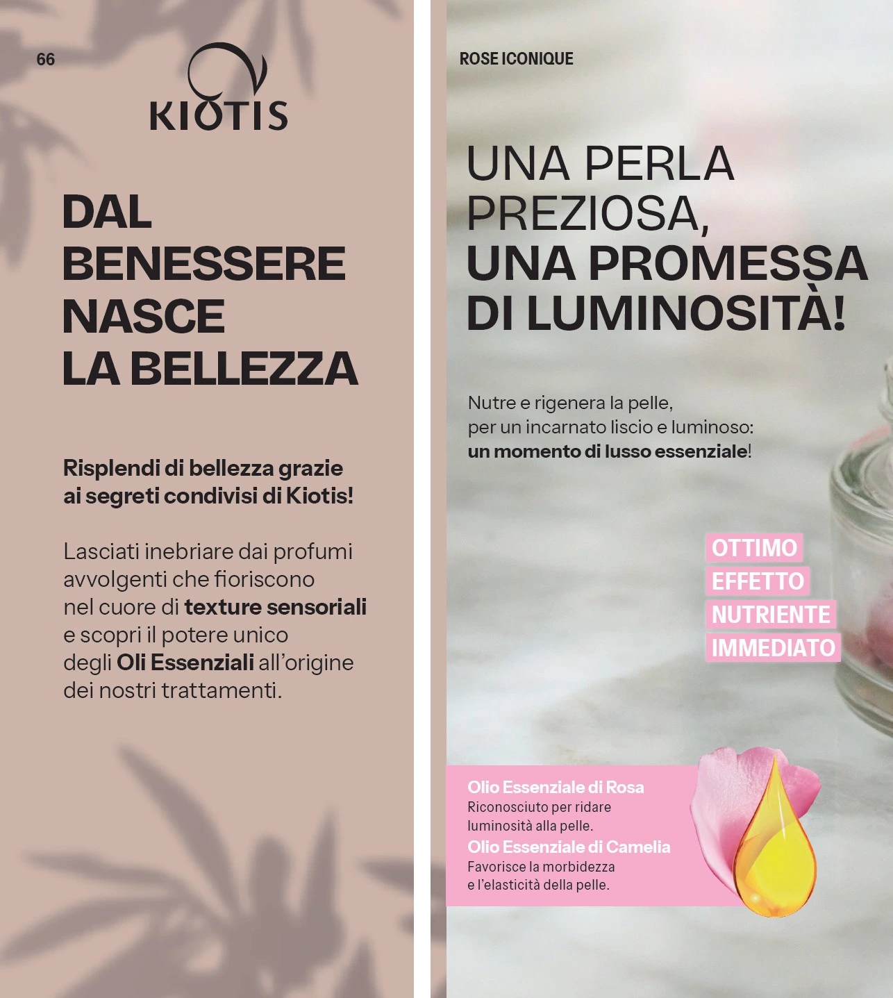 Flyer page 67