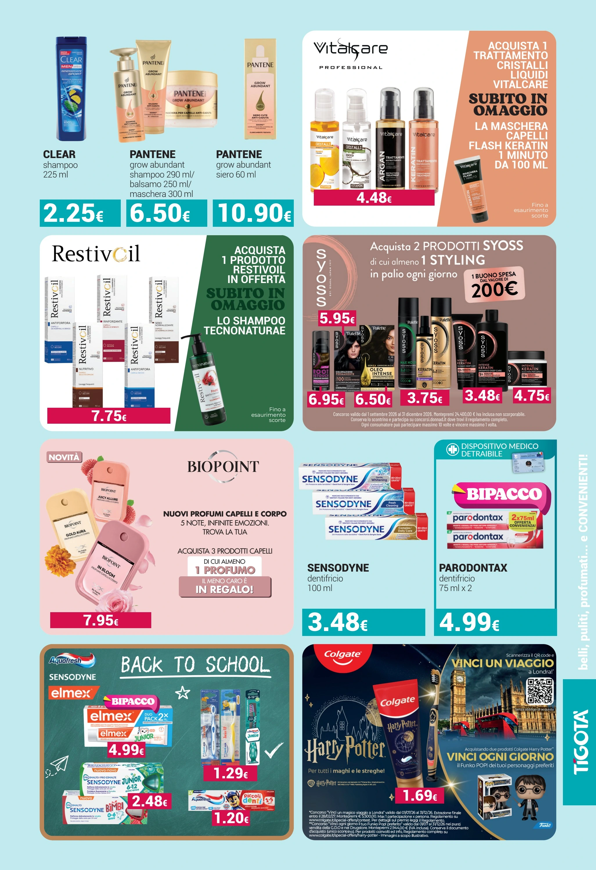 Flyer page 13