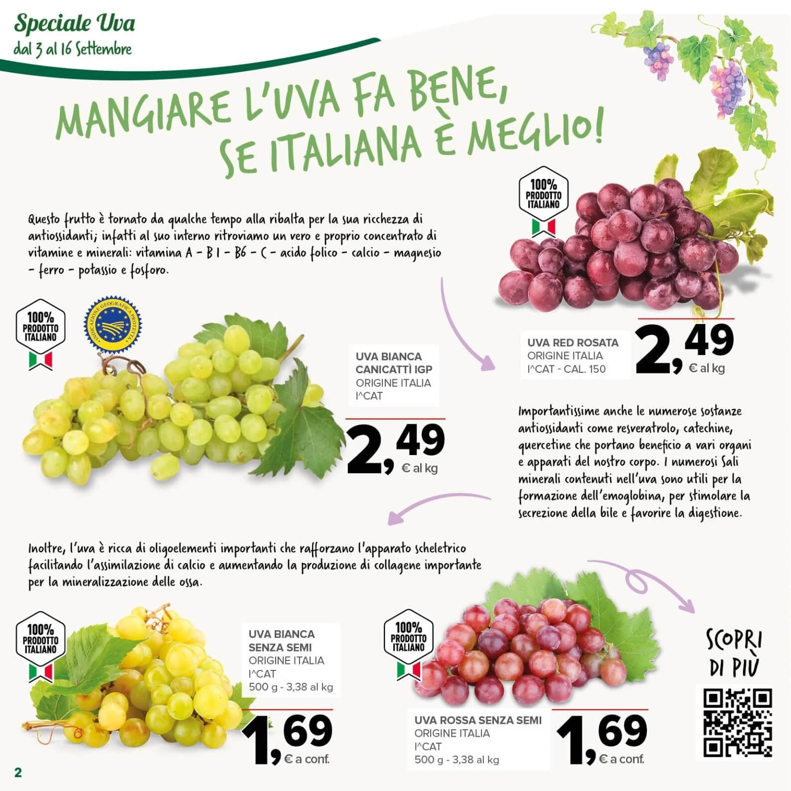 Flyer page 2