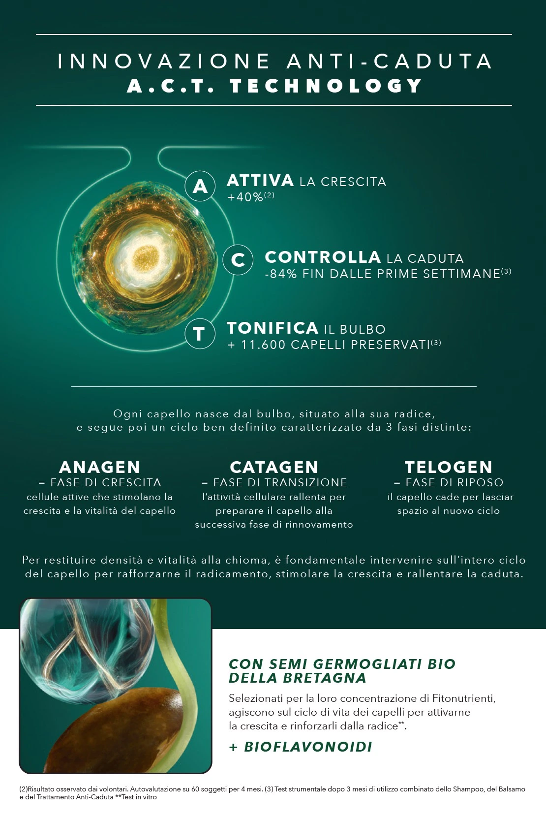 Flyer page 4