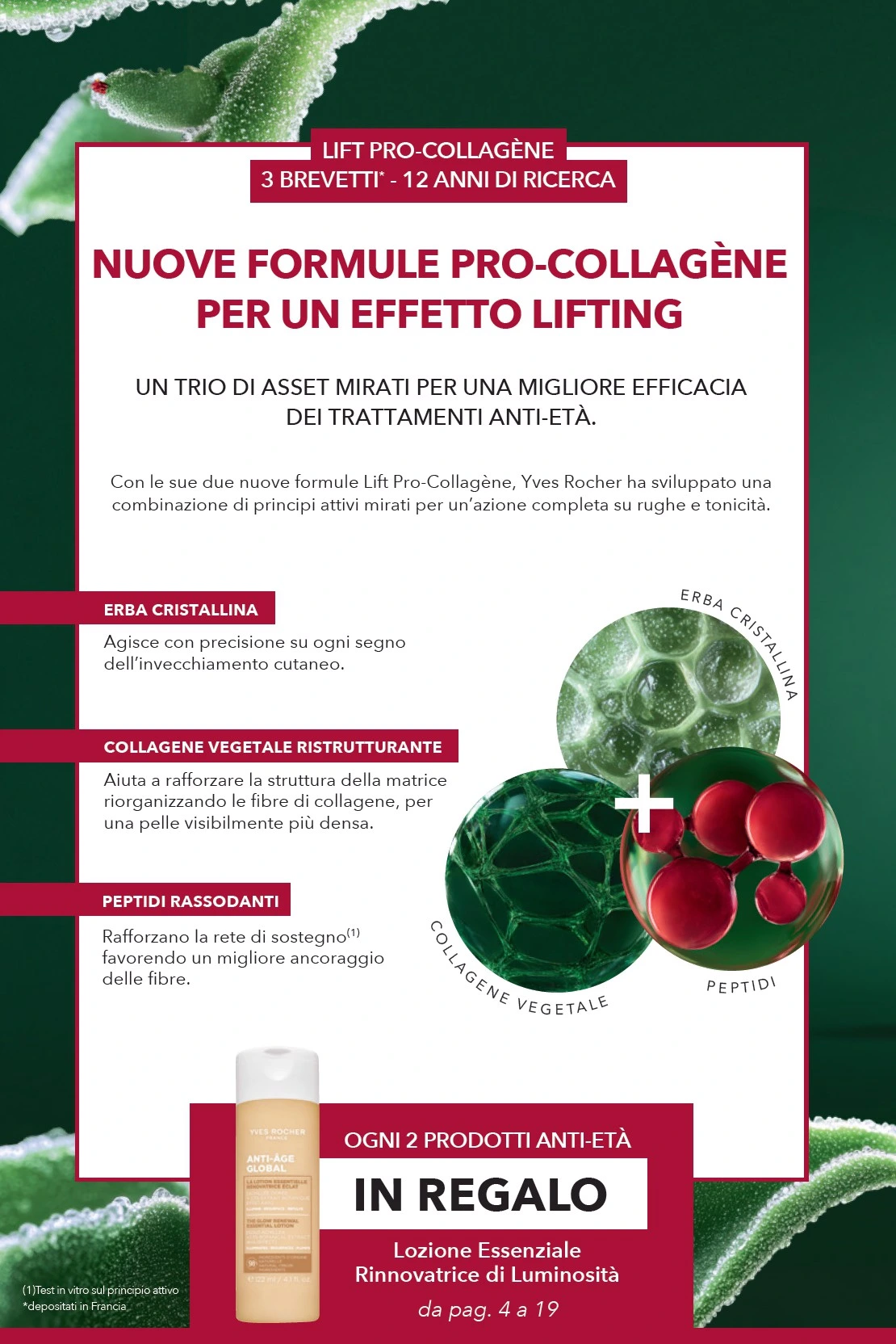 Flyer page 4