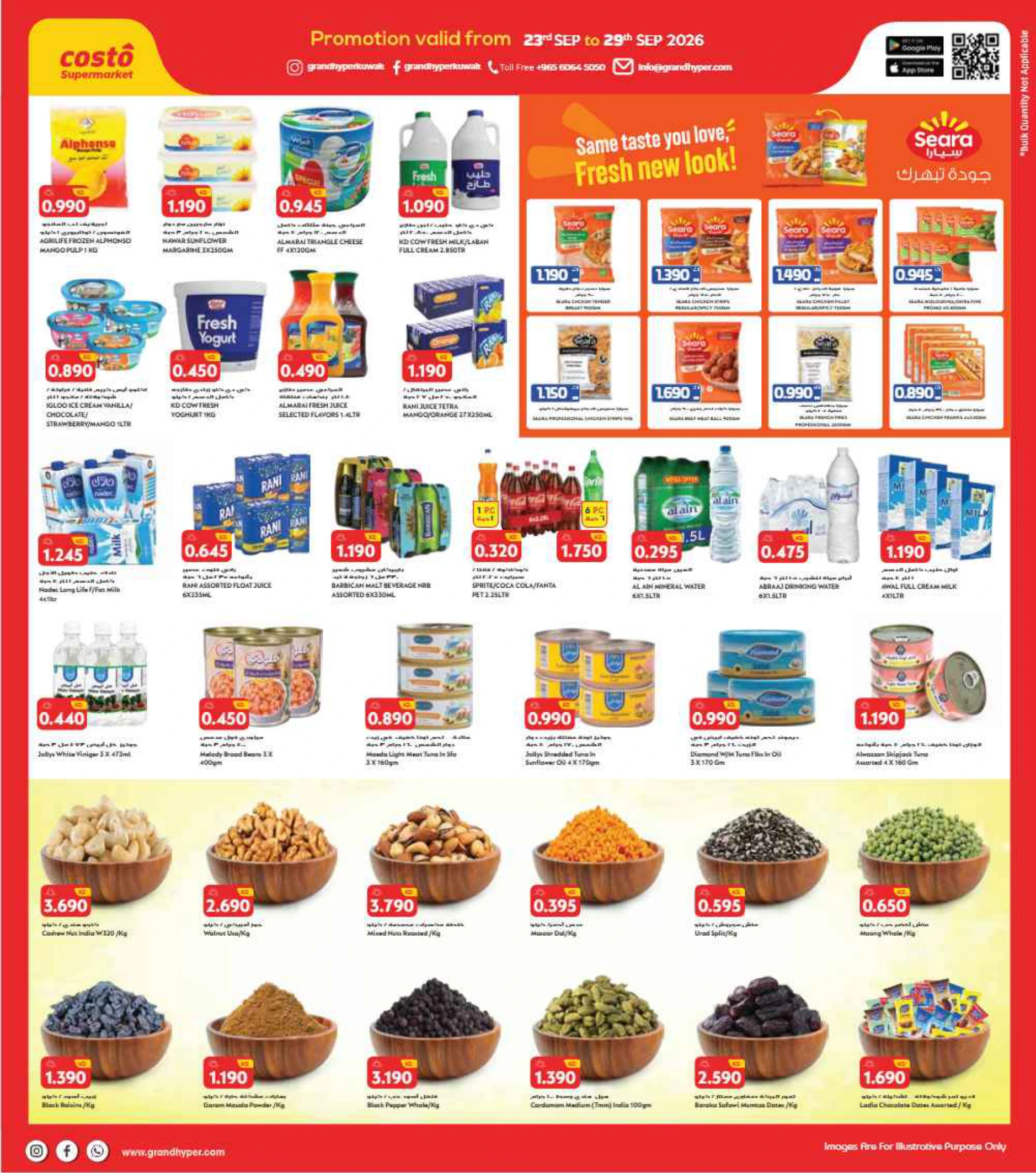 Flyer page 3