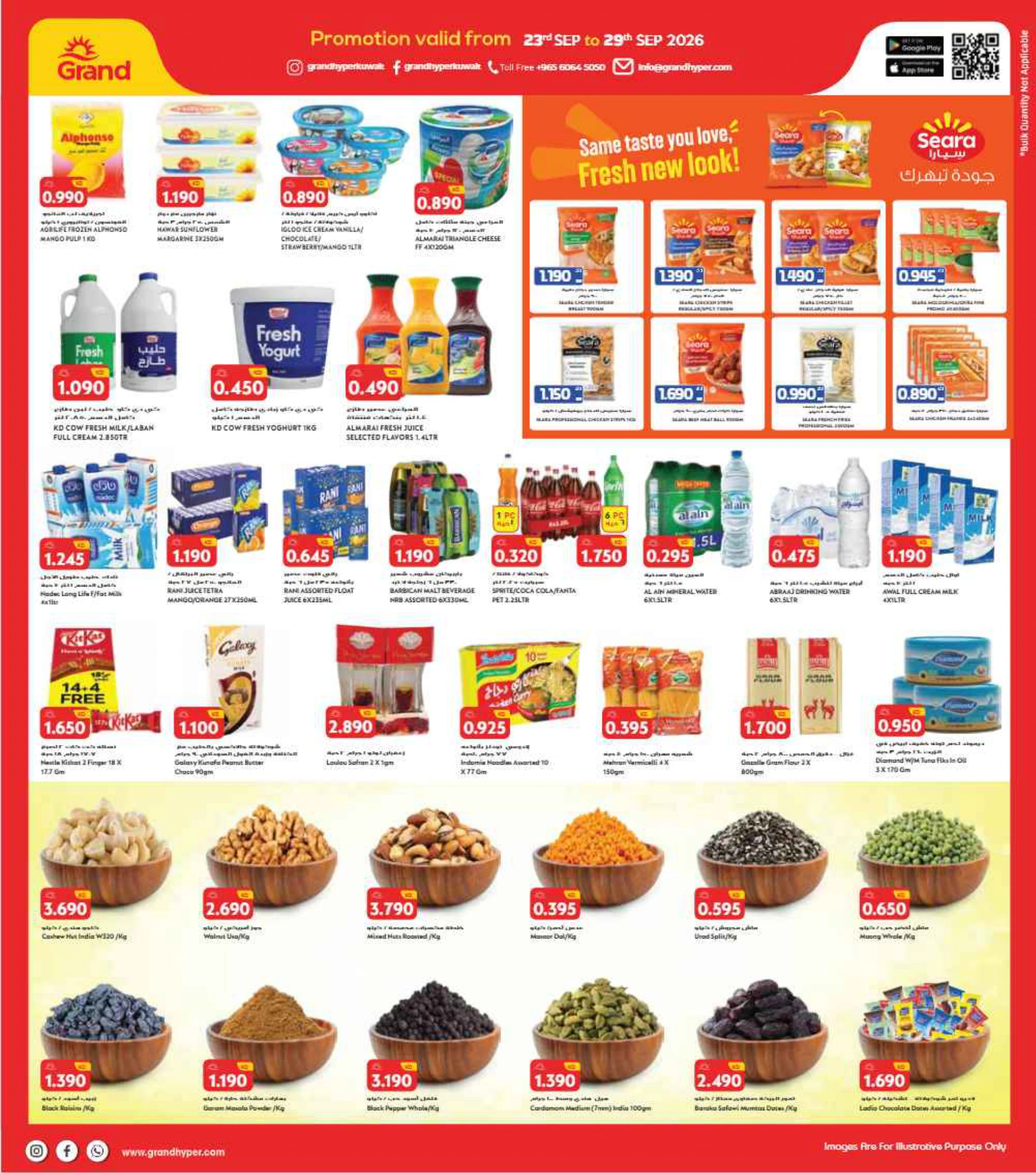 Flyer page 3