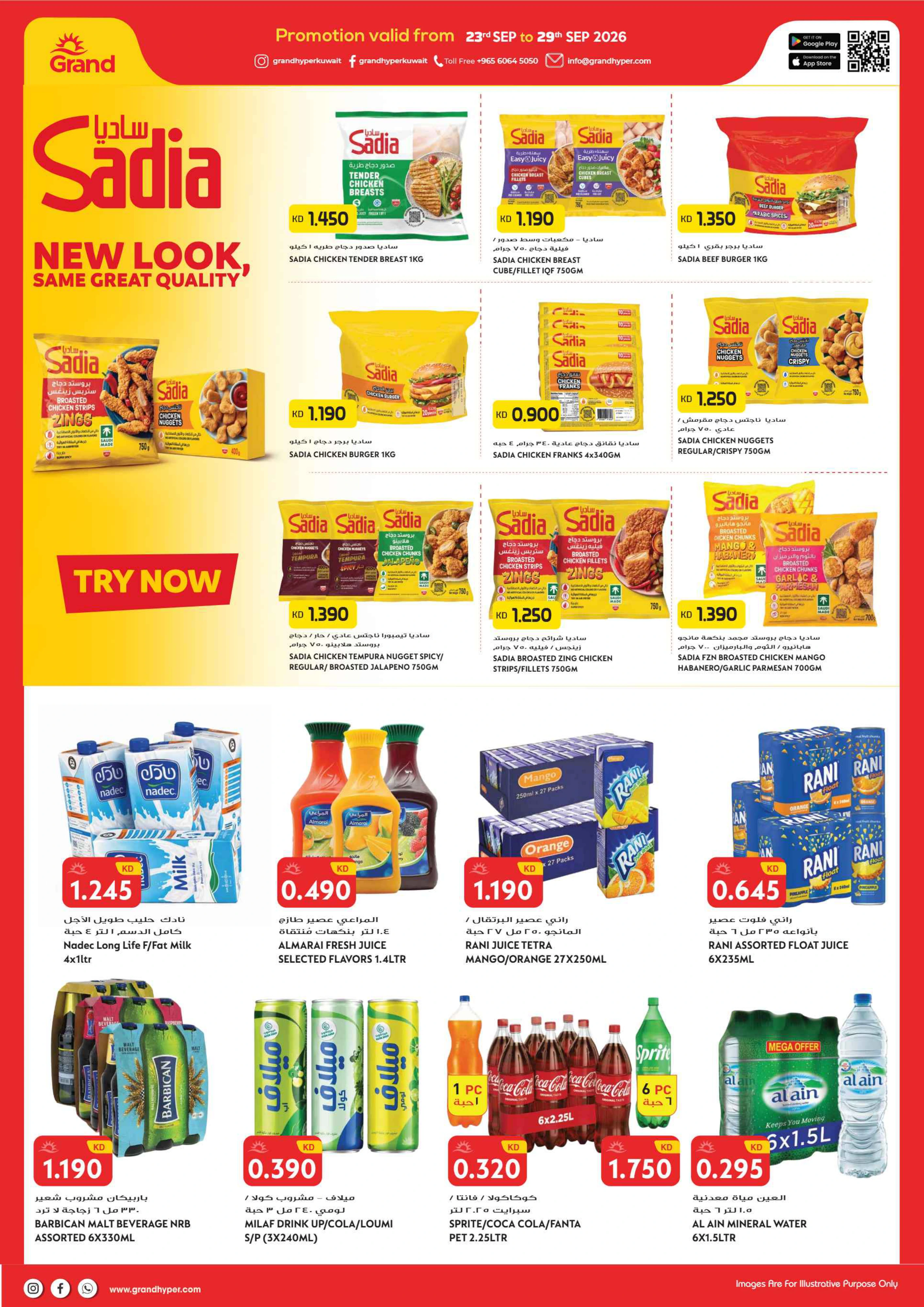 Flyer page 3