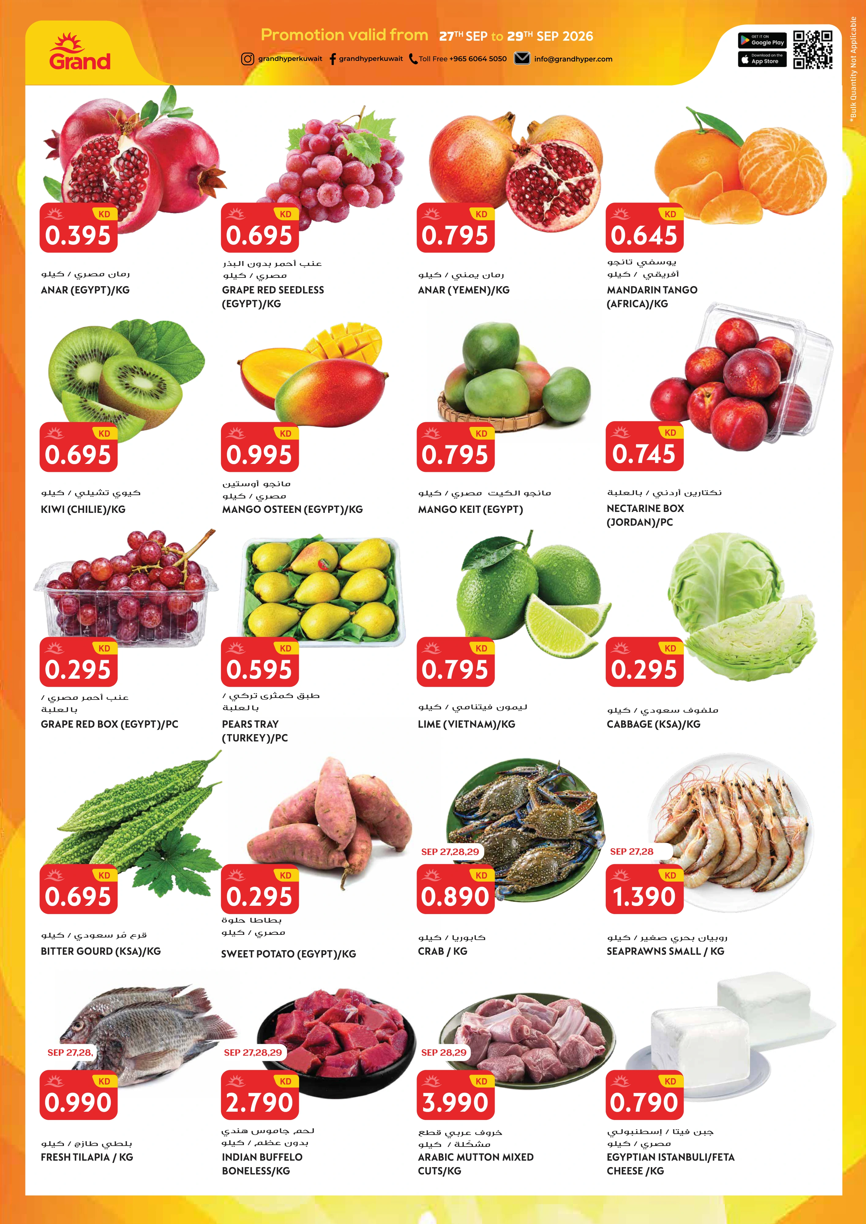 Flyer page 2