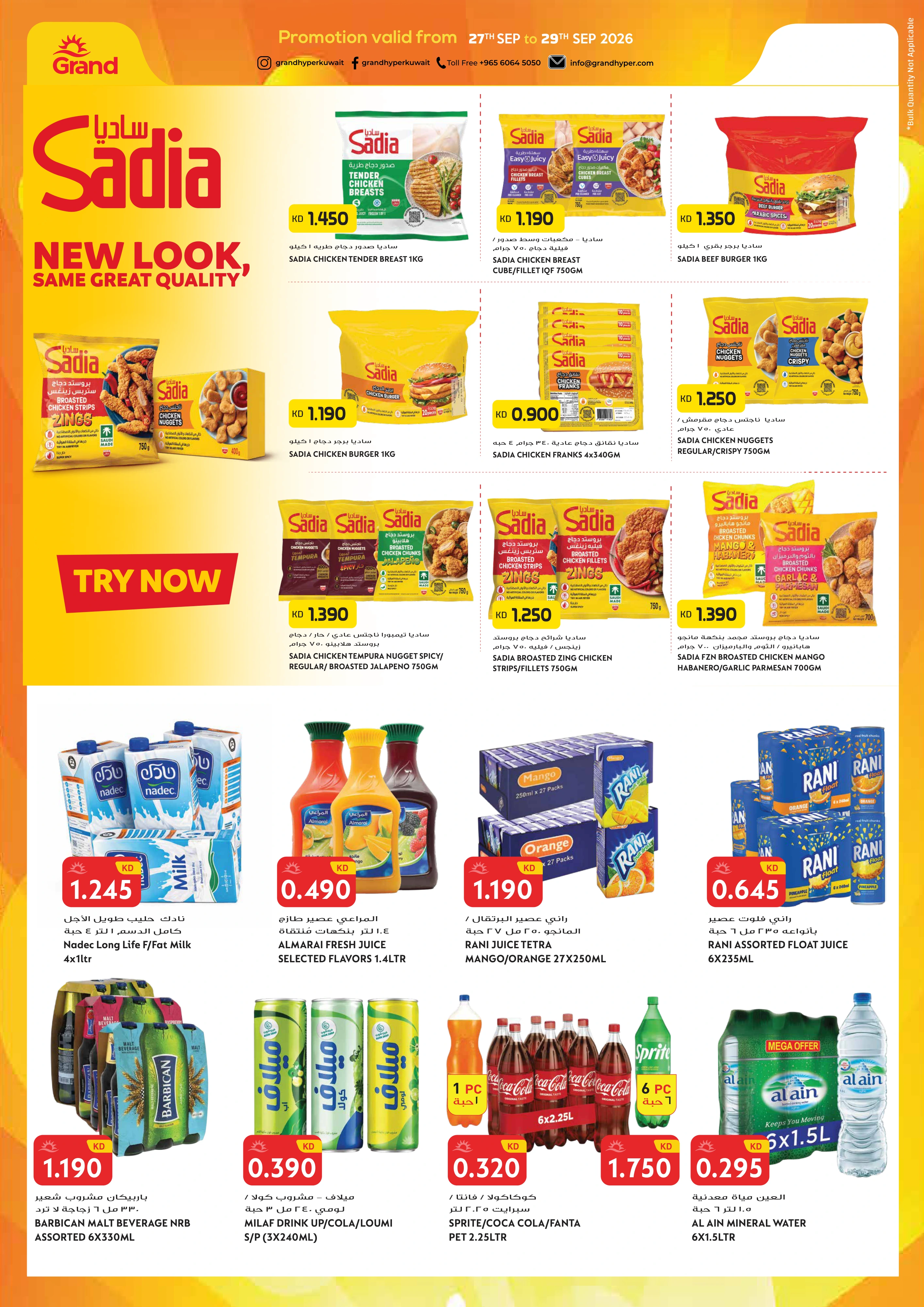 Flyer page 3