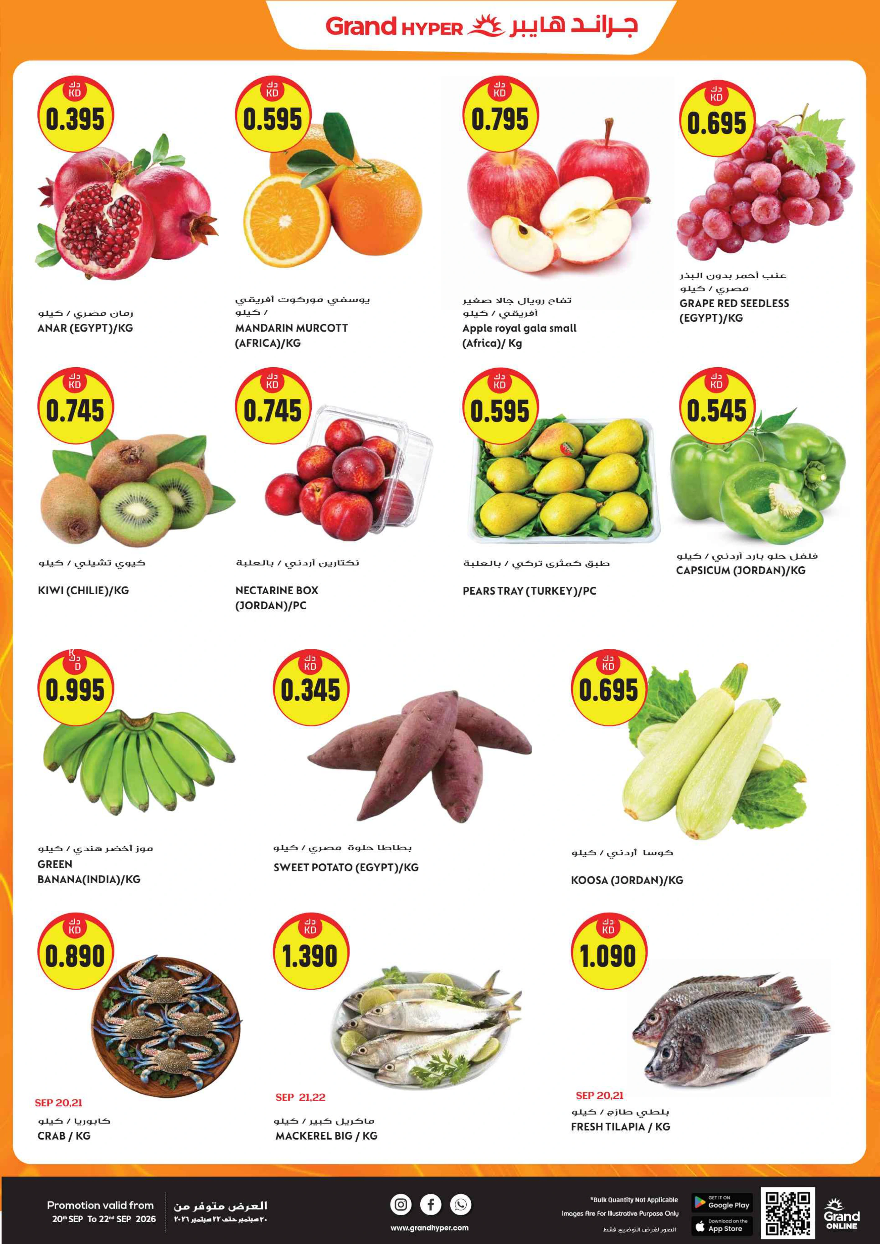 Flyer page 14