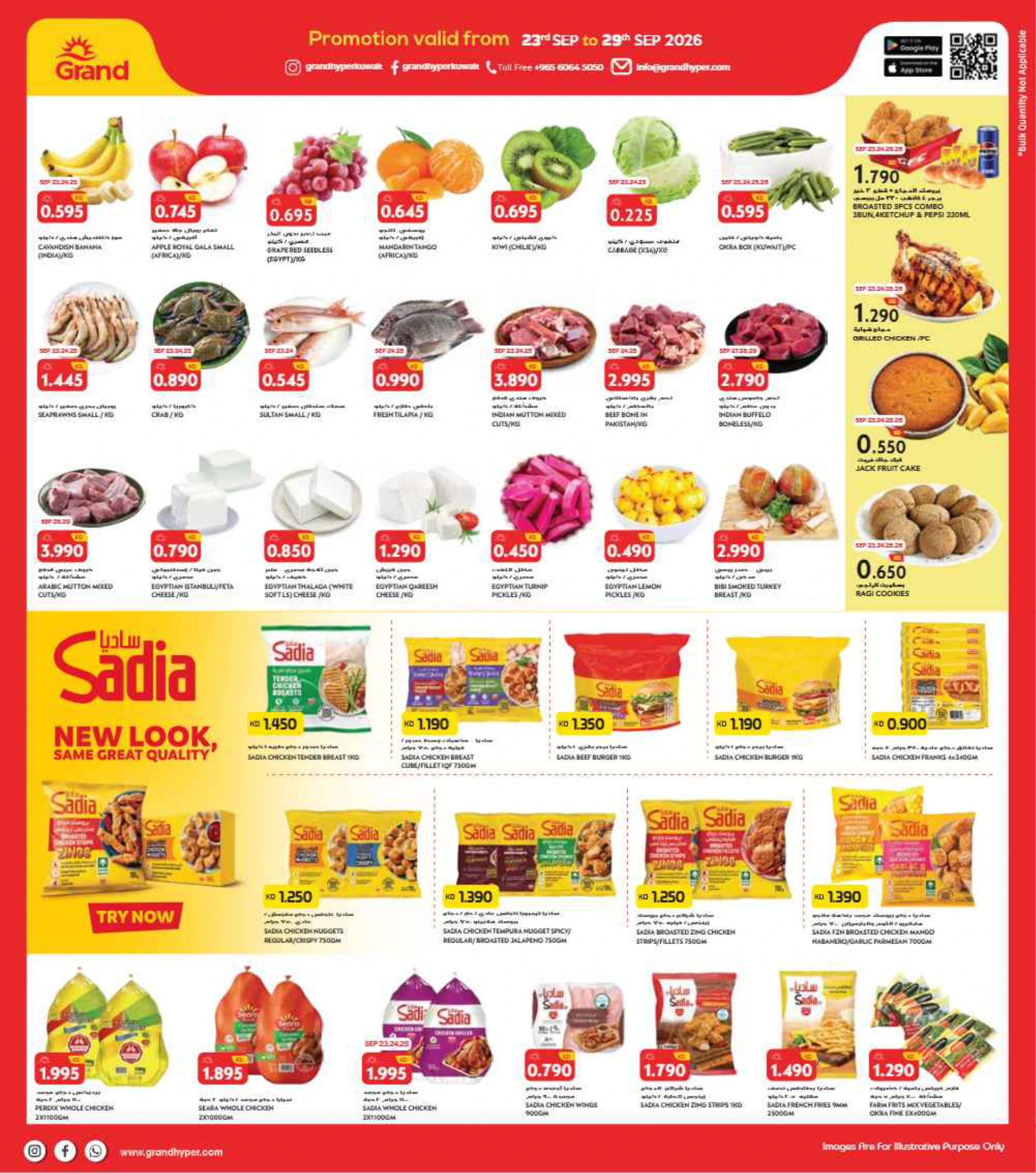 Flyer page 2