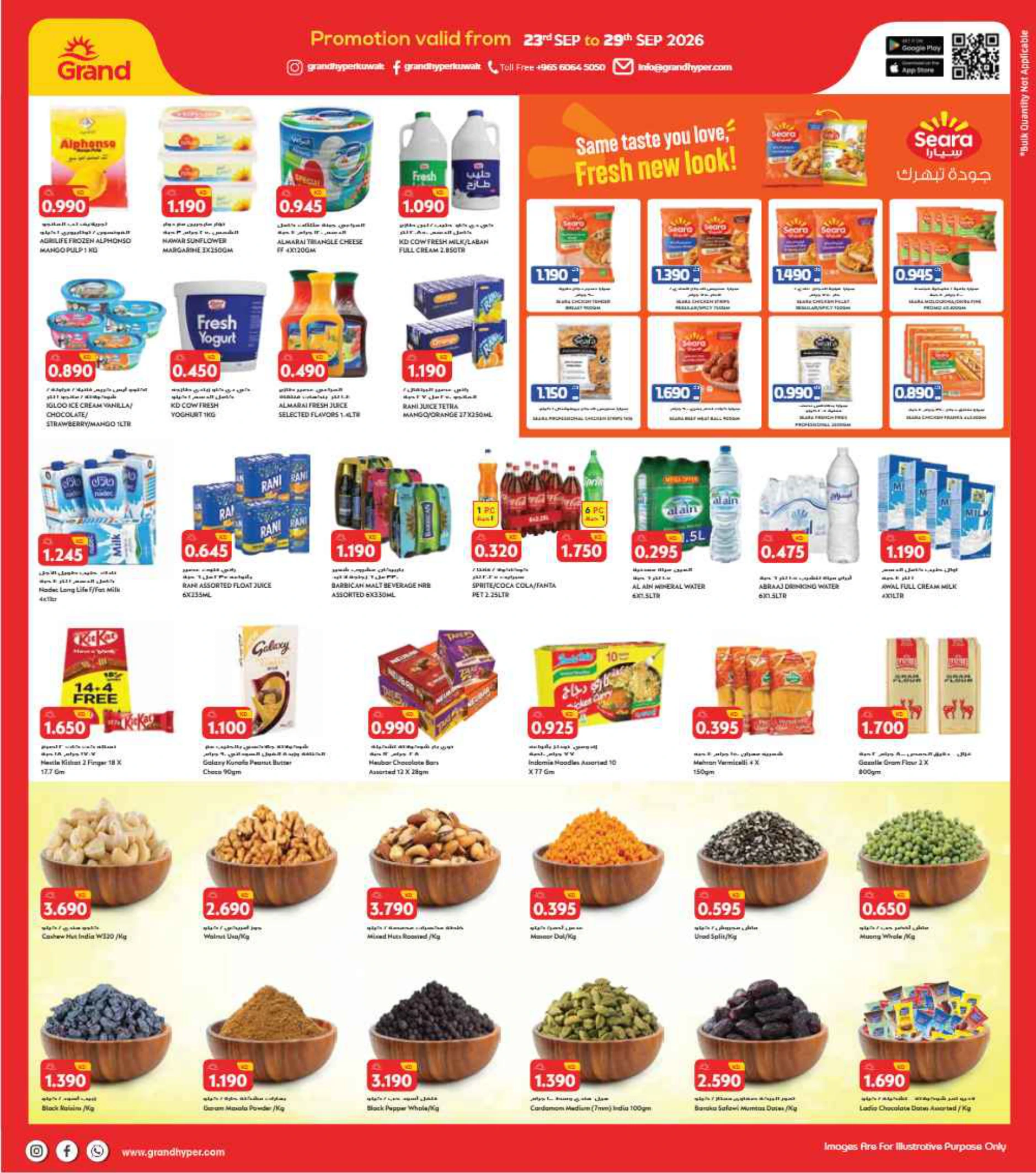 Flyer page 3