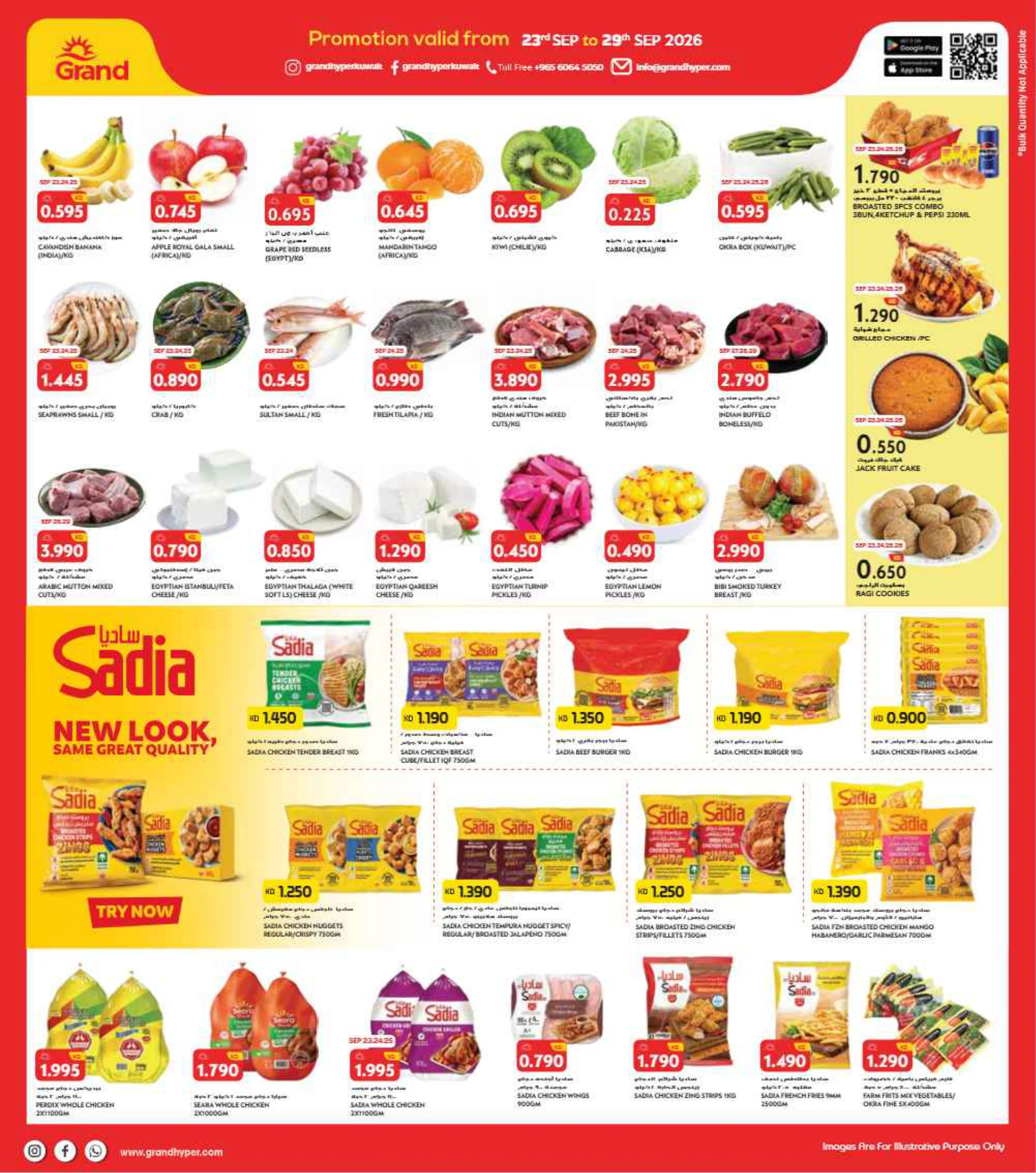 Flyer page 2