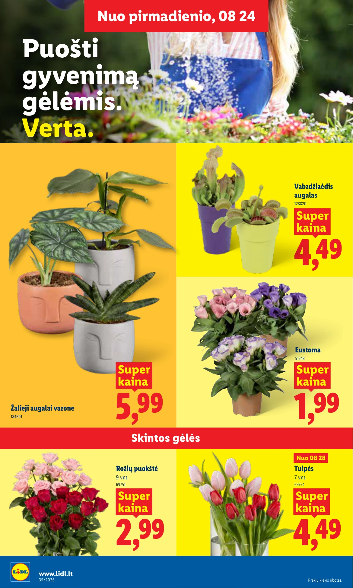 Flyer page 4