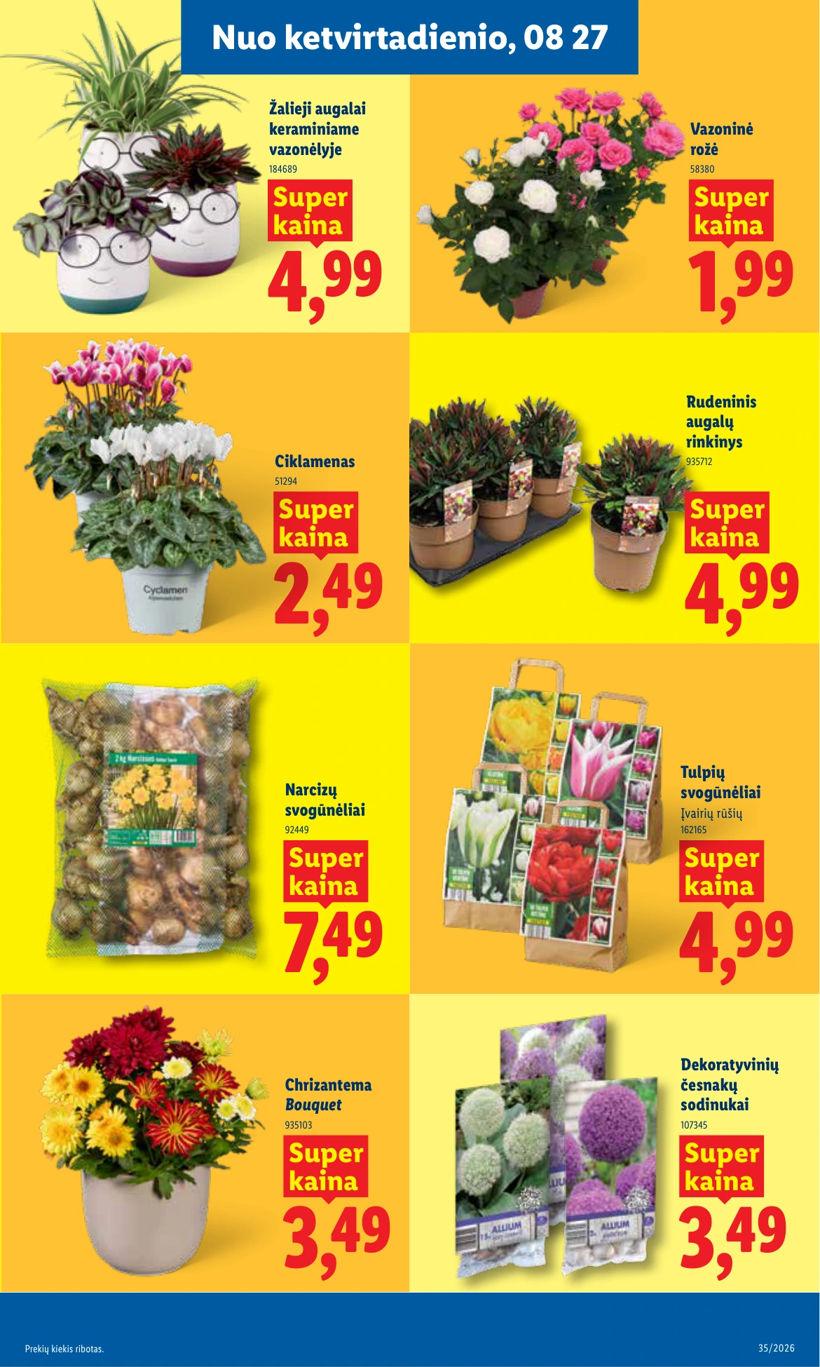 Flyer page 5