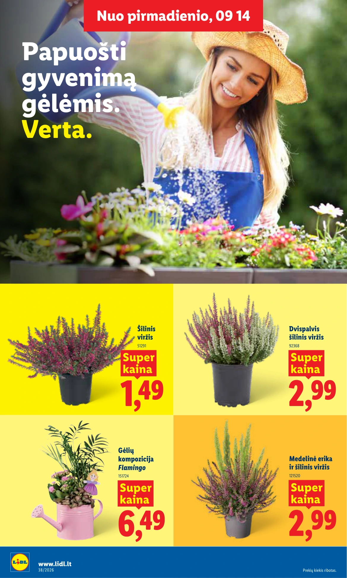 Flyer page 4